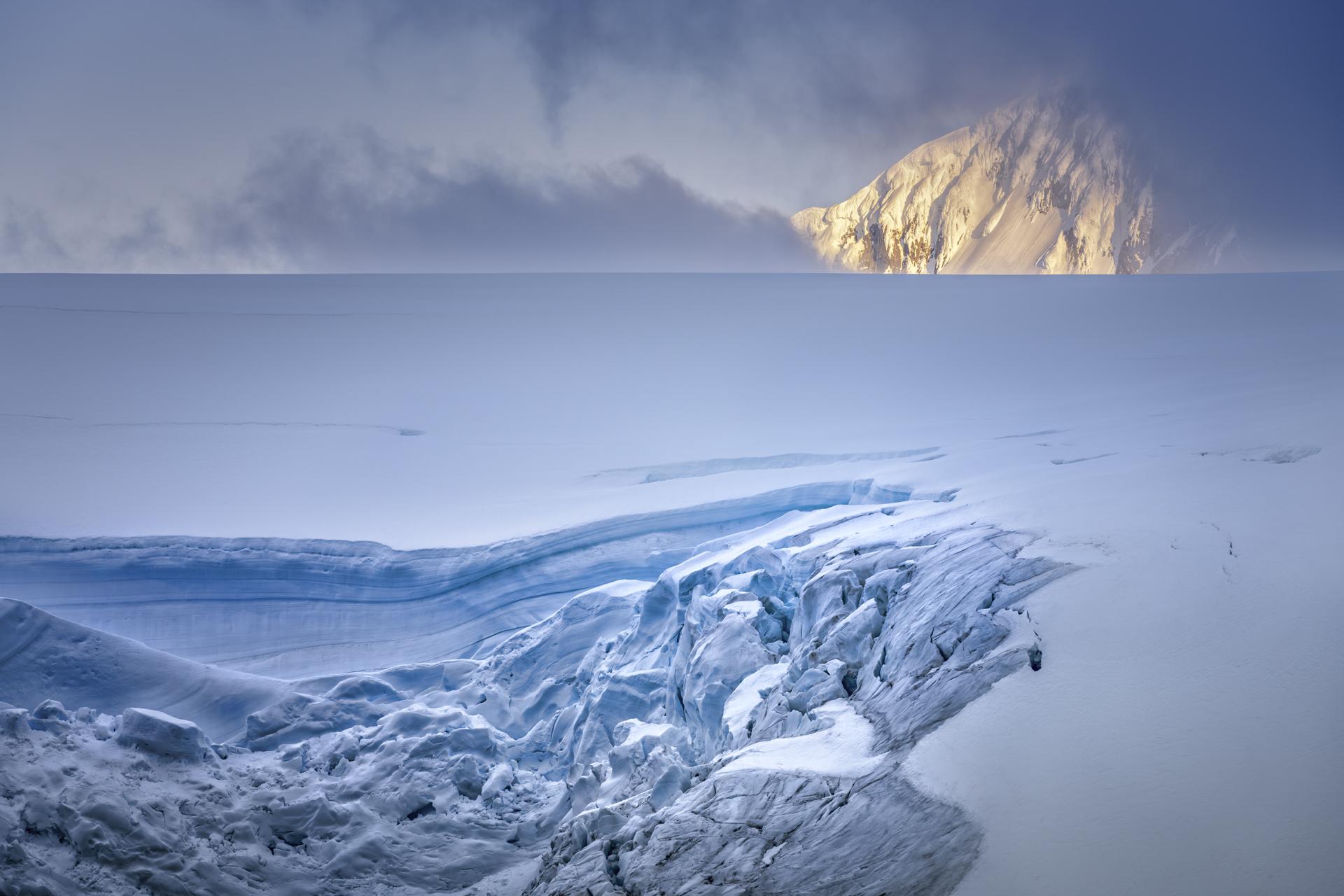 London Photography Awards Winner - The softness revealed