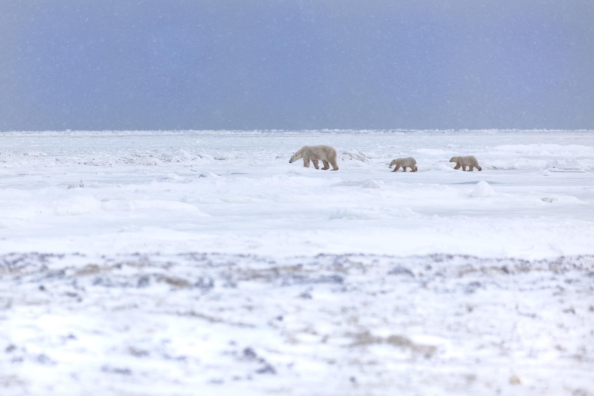 London Photography Awards Winner - Cold days and warm love