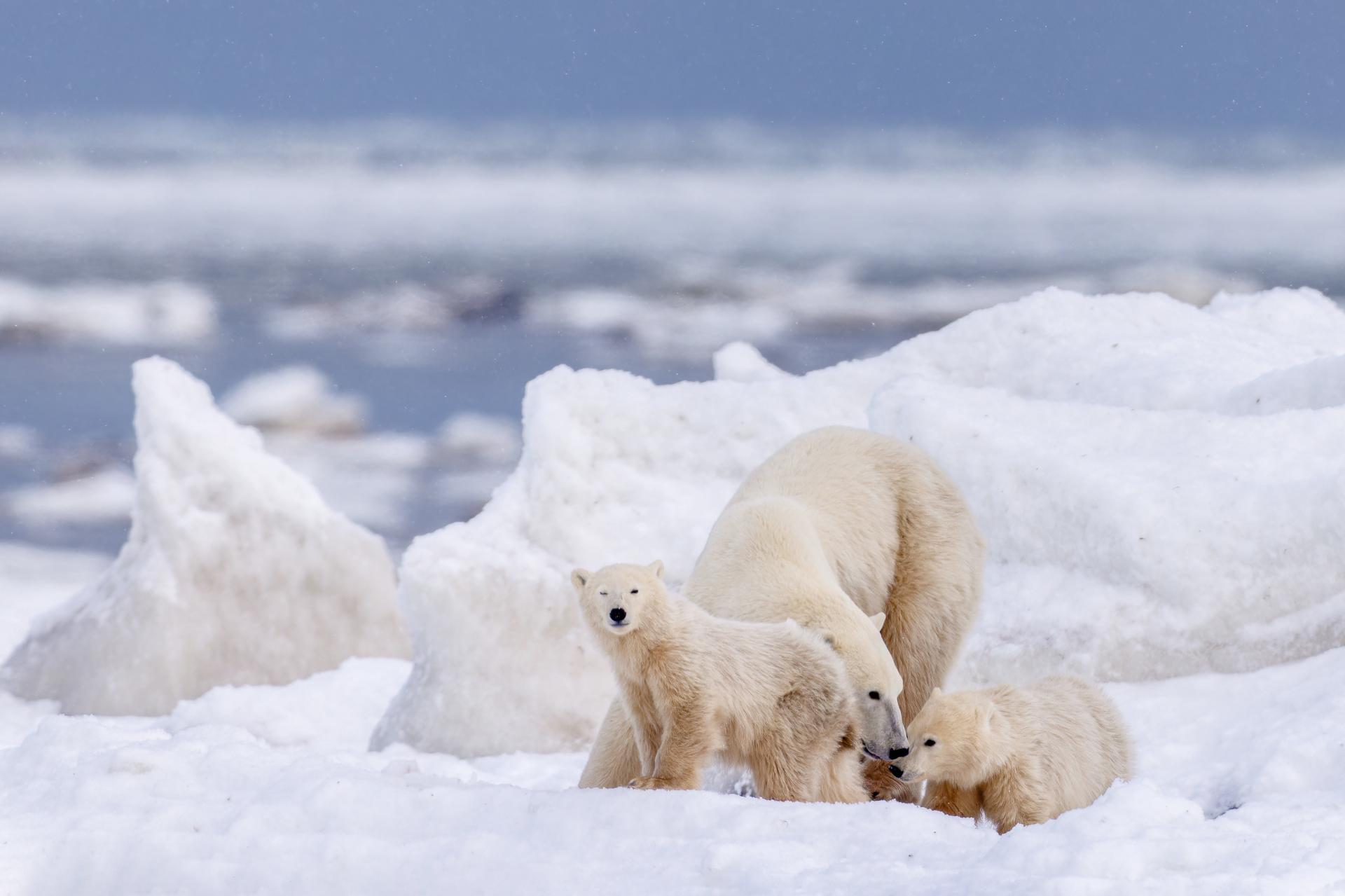 London Photography Awards Winner - Cold days and warm love