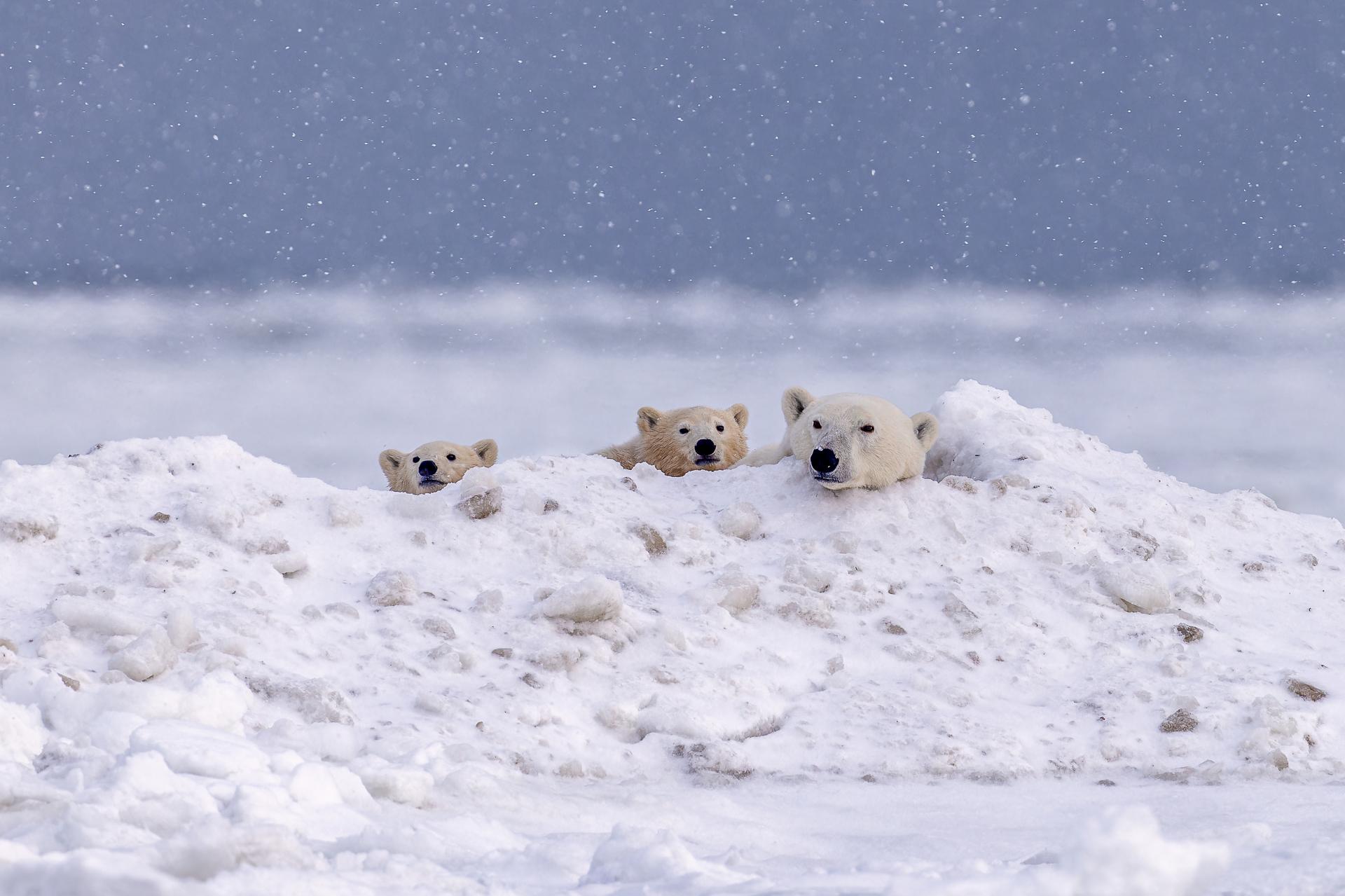 London Photography Awards Winner - Cold days and warm love