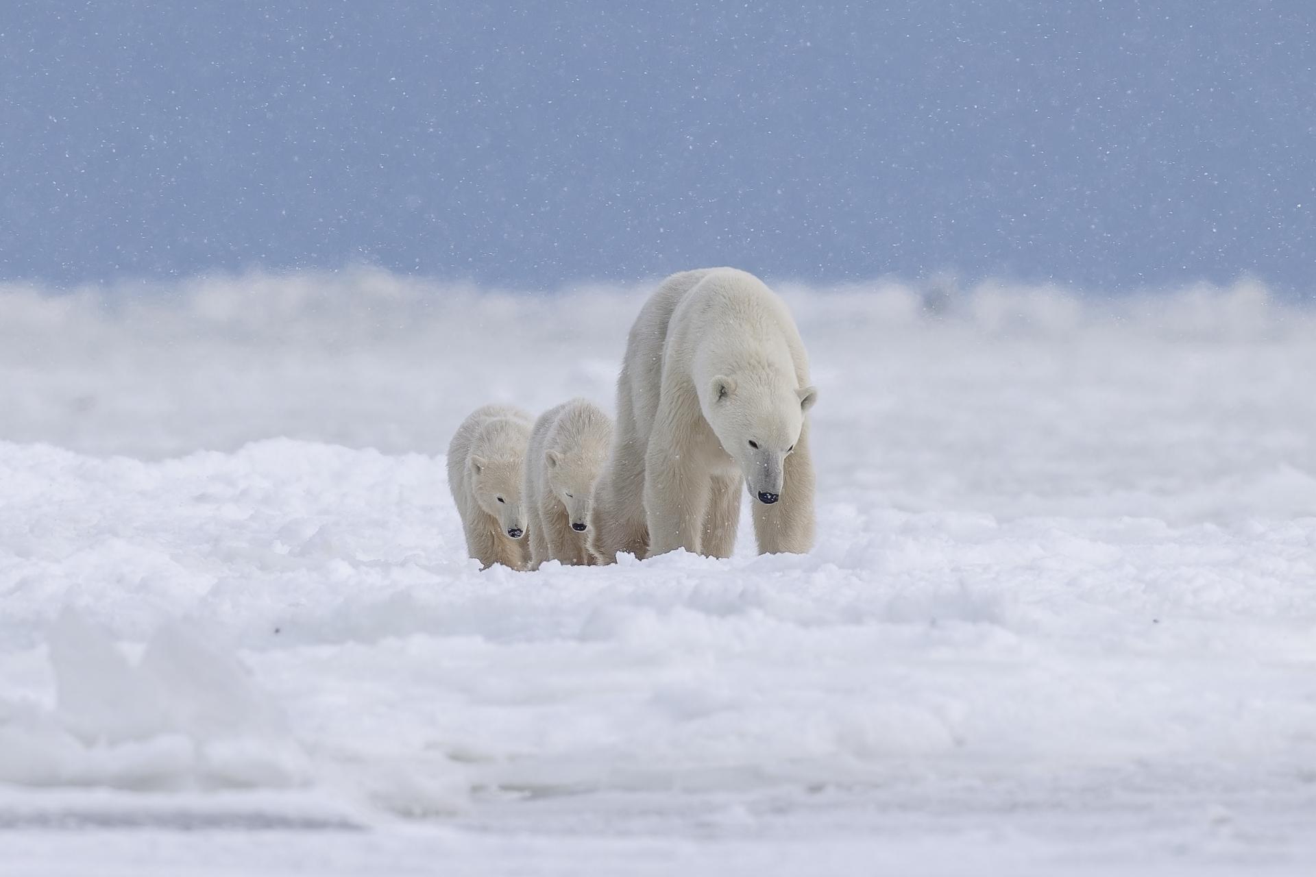 London Photography Awards Winner - Step by step