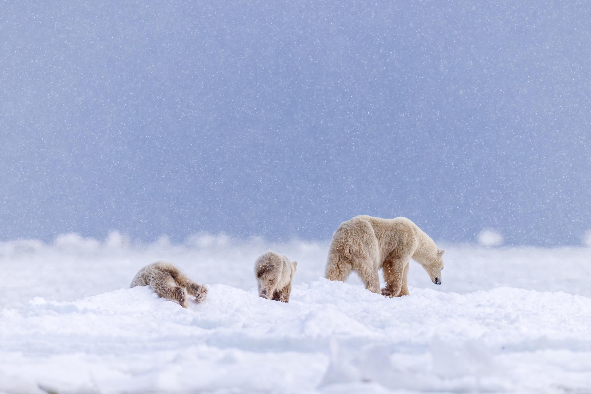 London Photography Awards Winner - Wait for me, I'm comin'