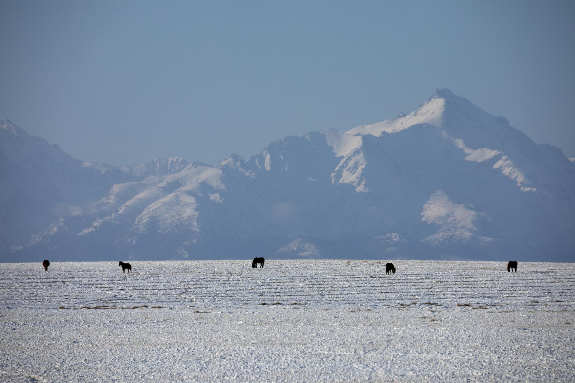 London Photography Awards Winner - Barguzin idyll