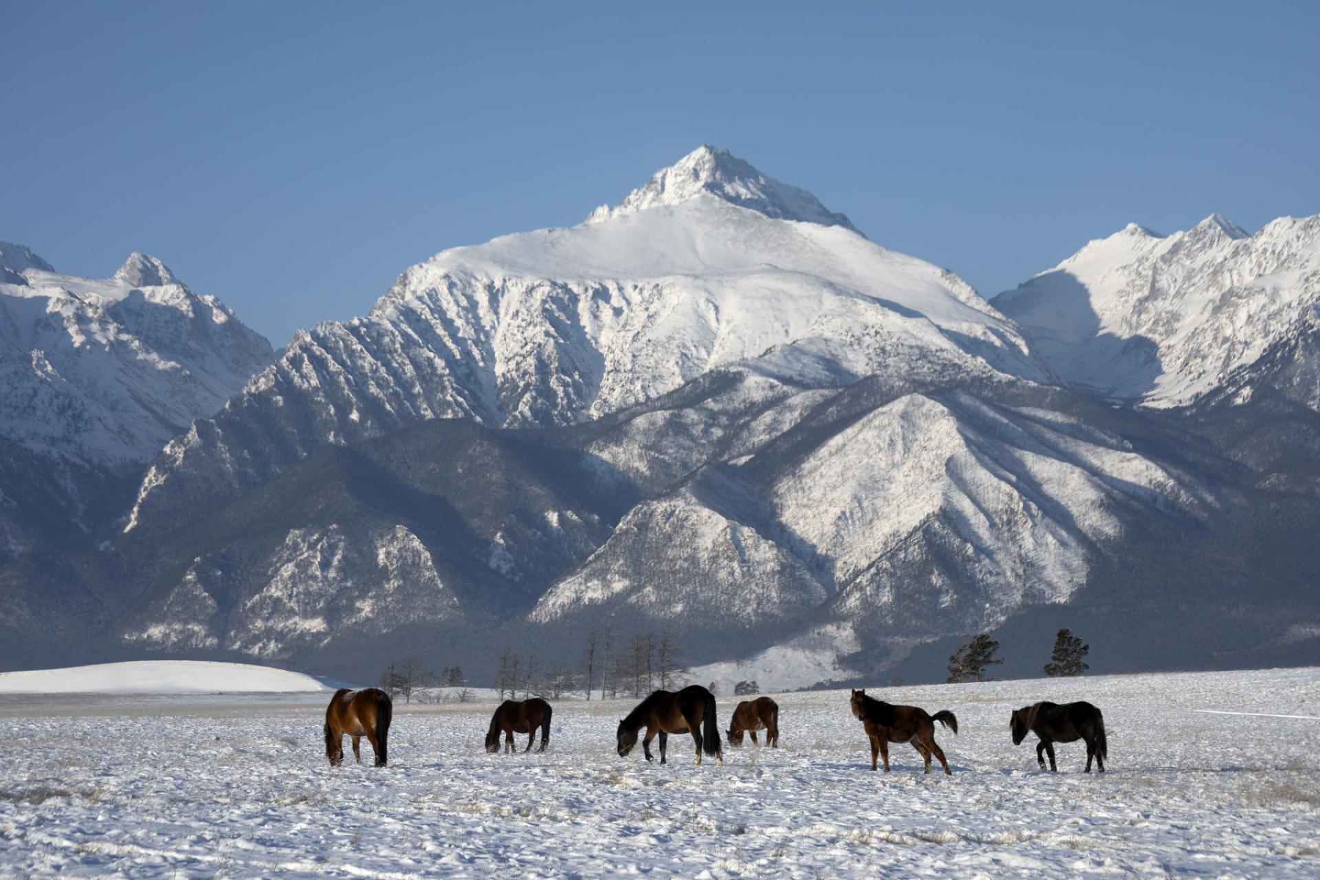 London Photography Awards Winner - Barguzin Valley