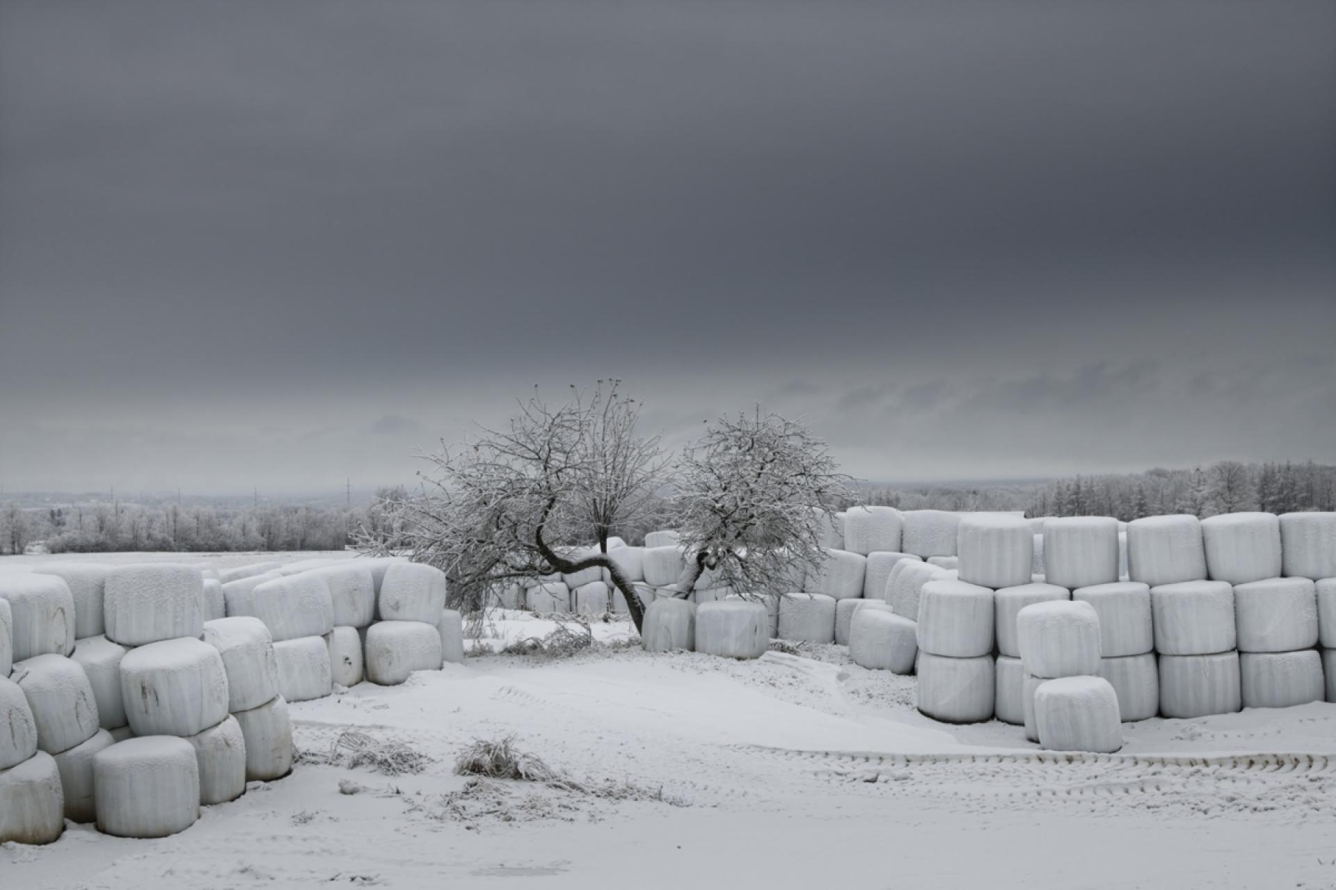 London Photography Awards Winner - Winterizing Hay Bales