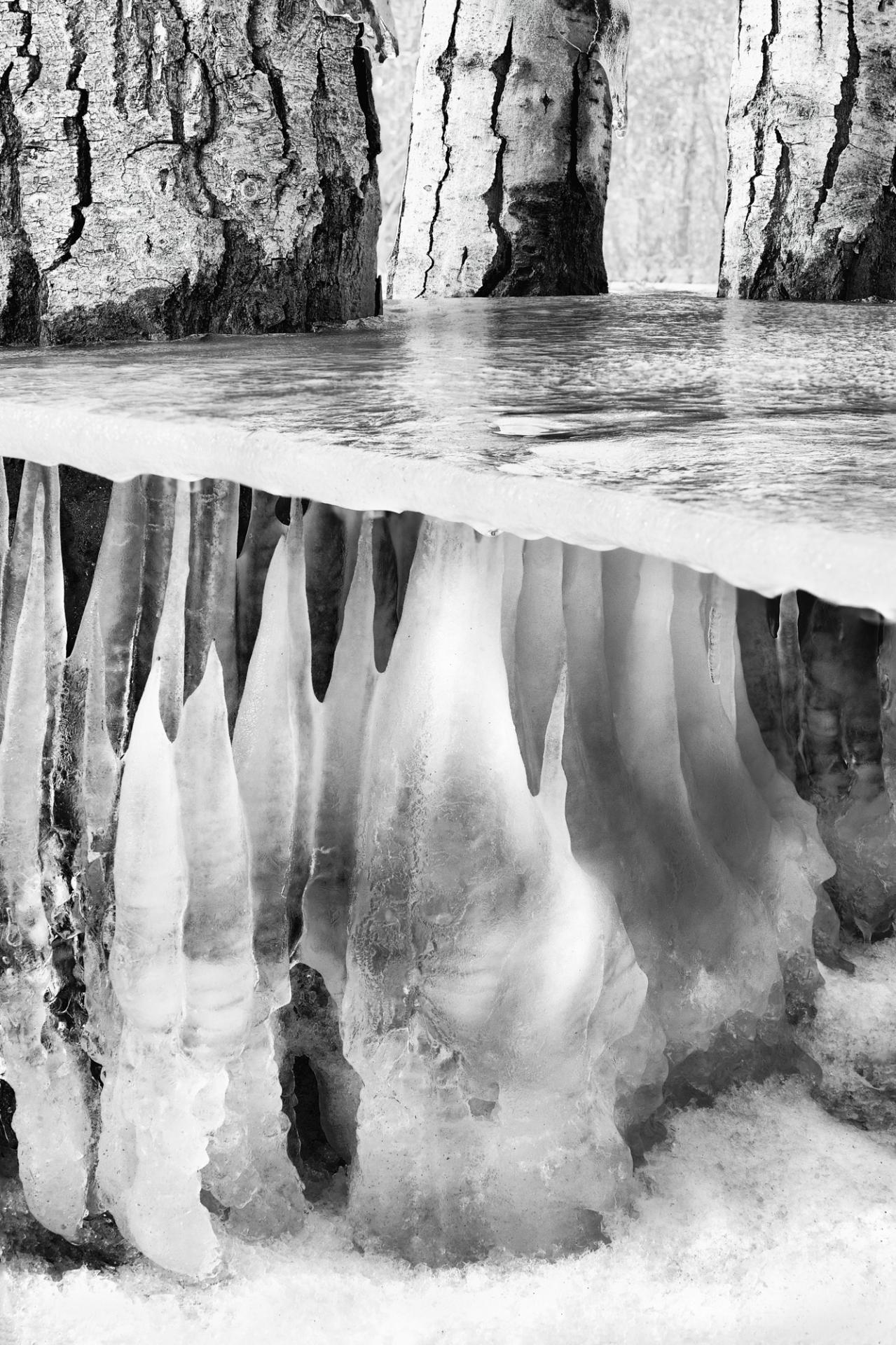 London Photography Awards Winner - Table for Three