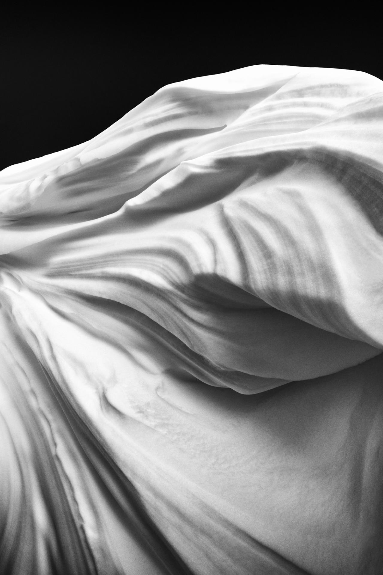 London Photography Awards Winner - Nature's Sculpture