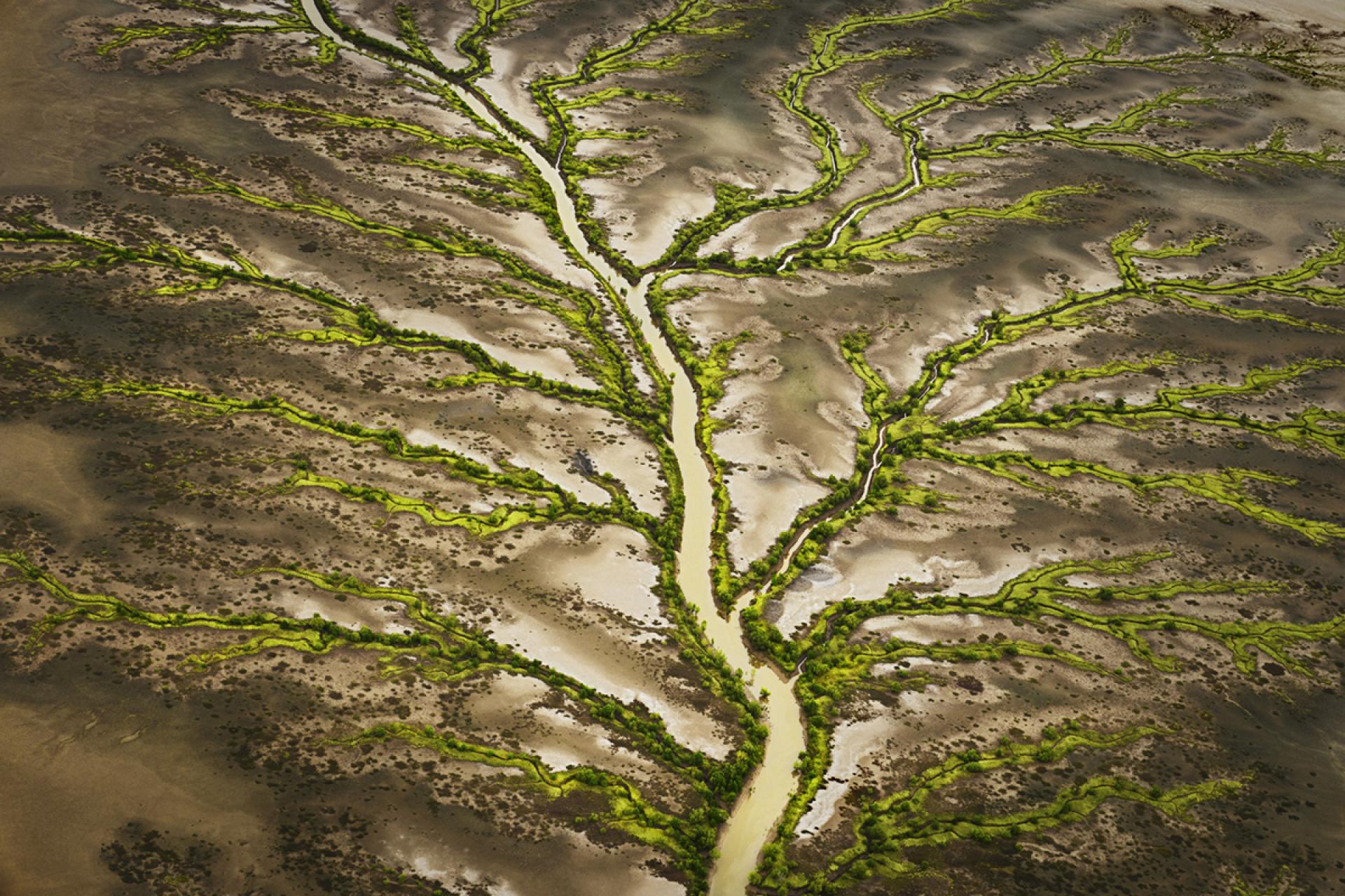 London Photography Awards Winner - Natures Vessel