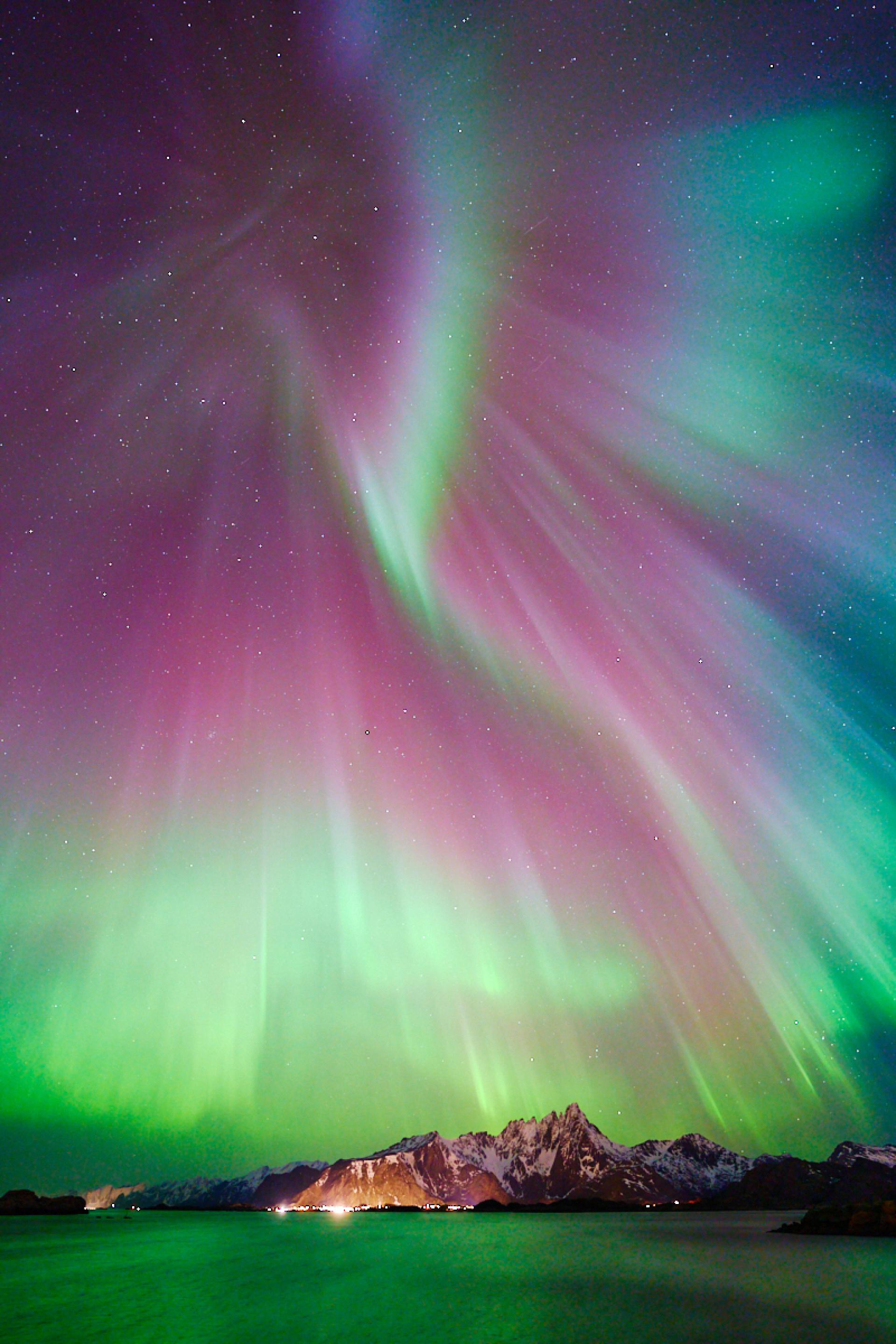 London Photography Awards Winner - Aurora Butterfly