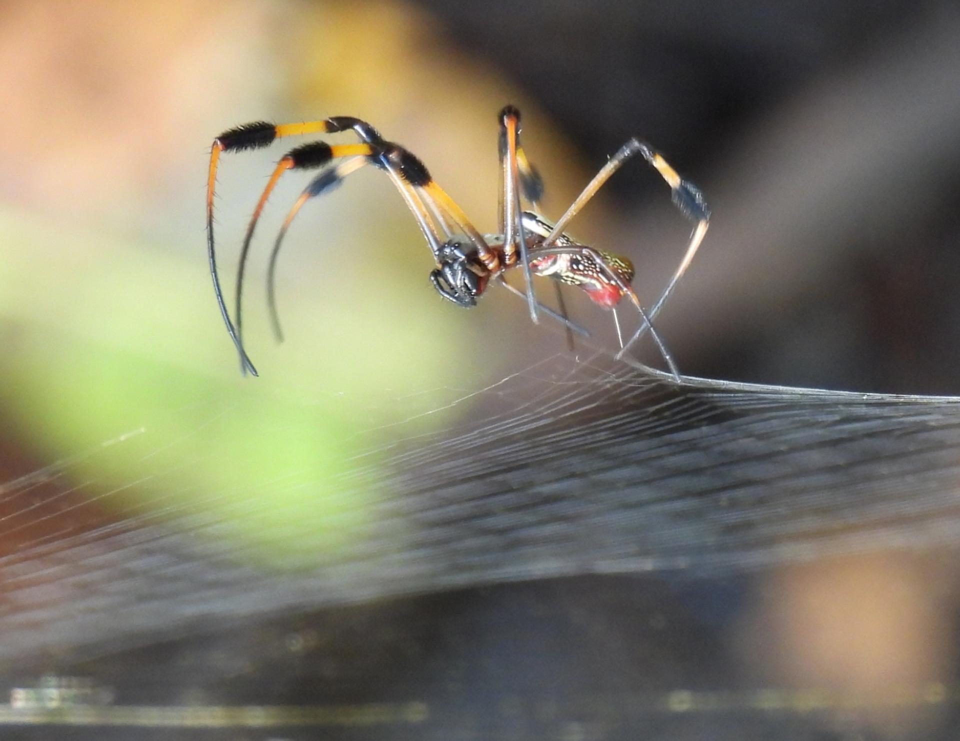 London Photography Awards Winner - Web Released