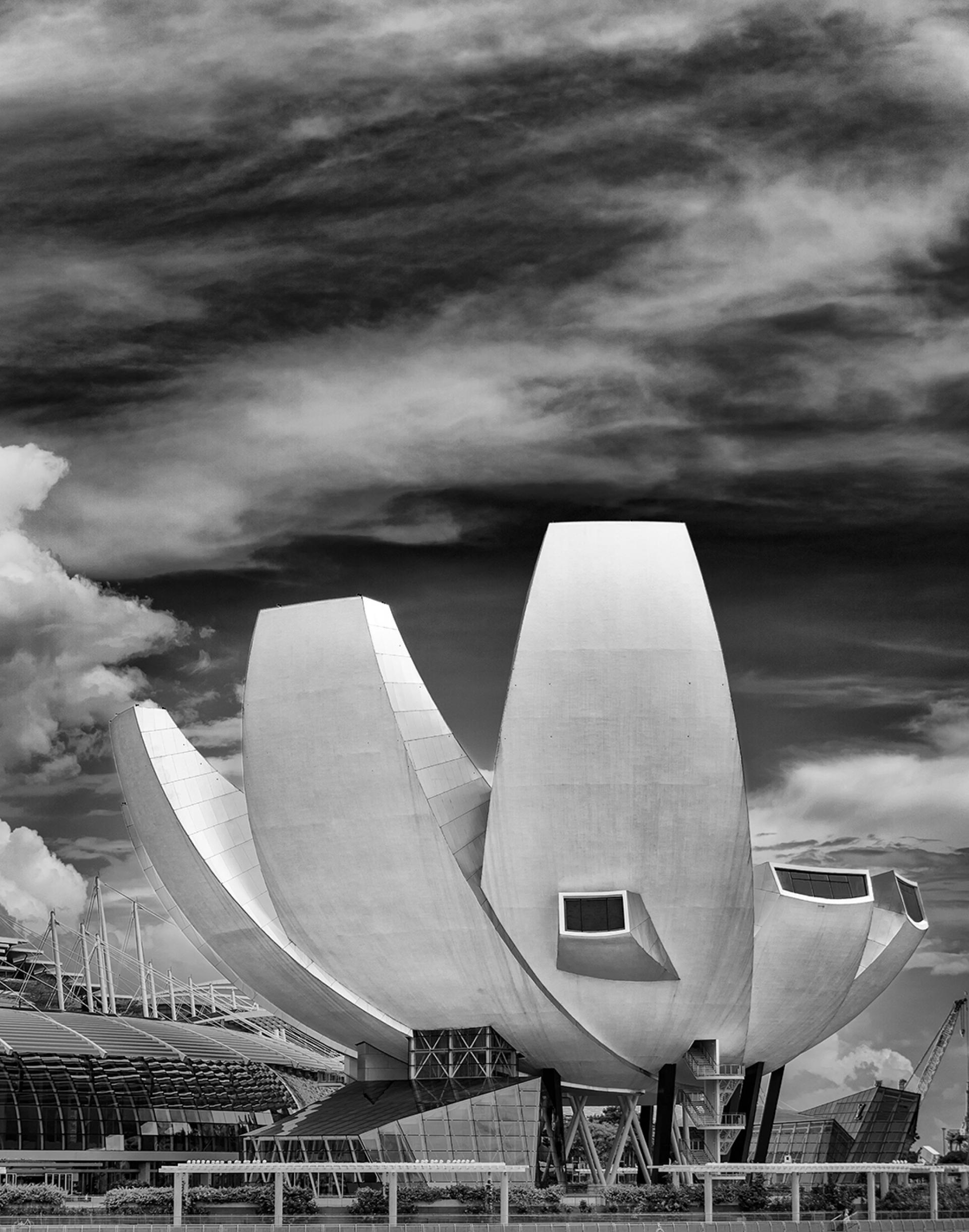 London Photography Awards Winner - Lotus - “The Welcoming Hand of Singapore”