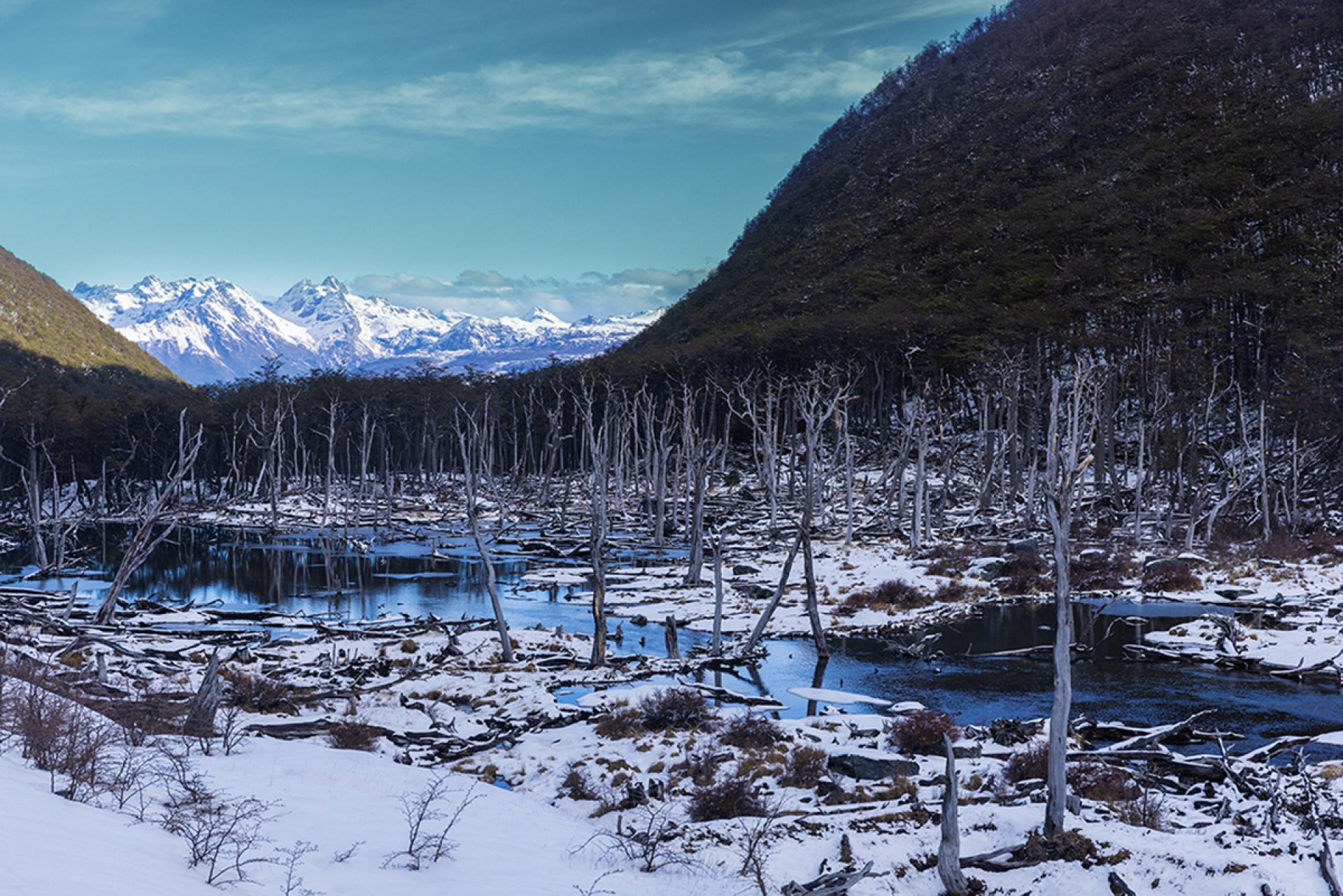 London Photography Awards Winner - Fin del Mundo