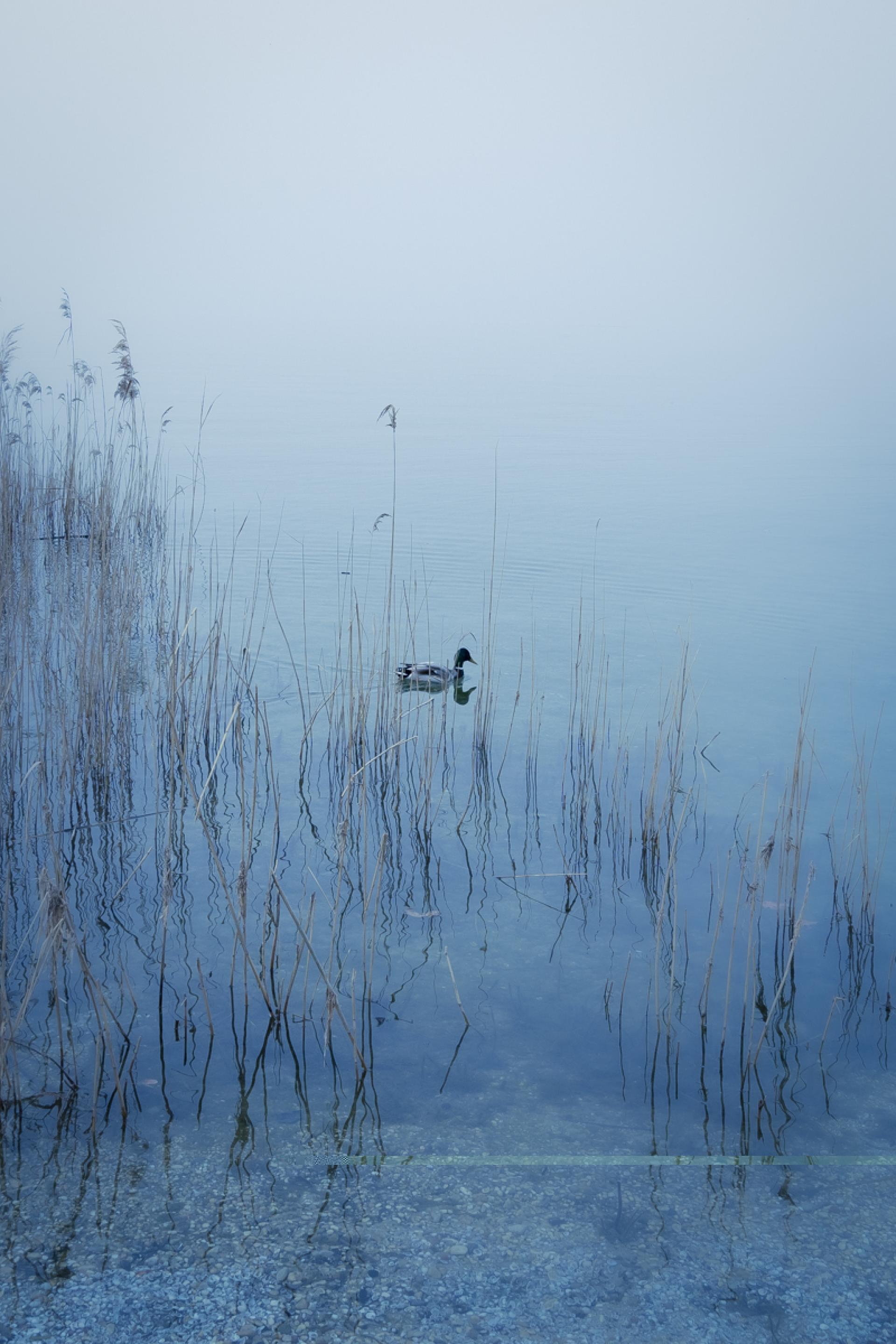 London Photography Awards Winner - V Blues  The Reflection, Castelnuovo del Garda