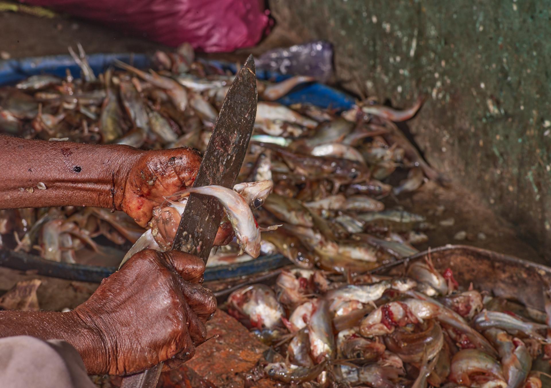 London Photography Awards Winner - Food Preparation