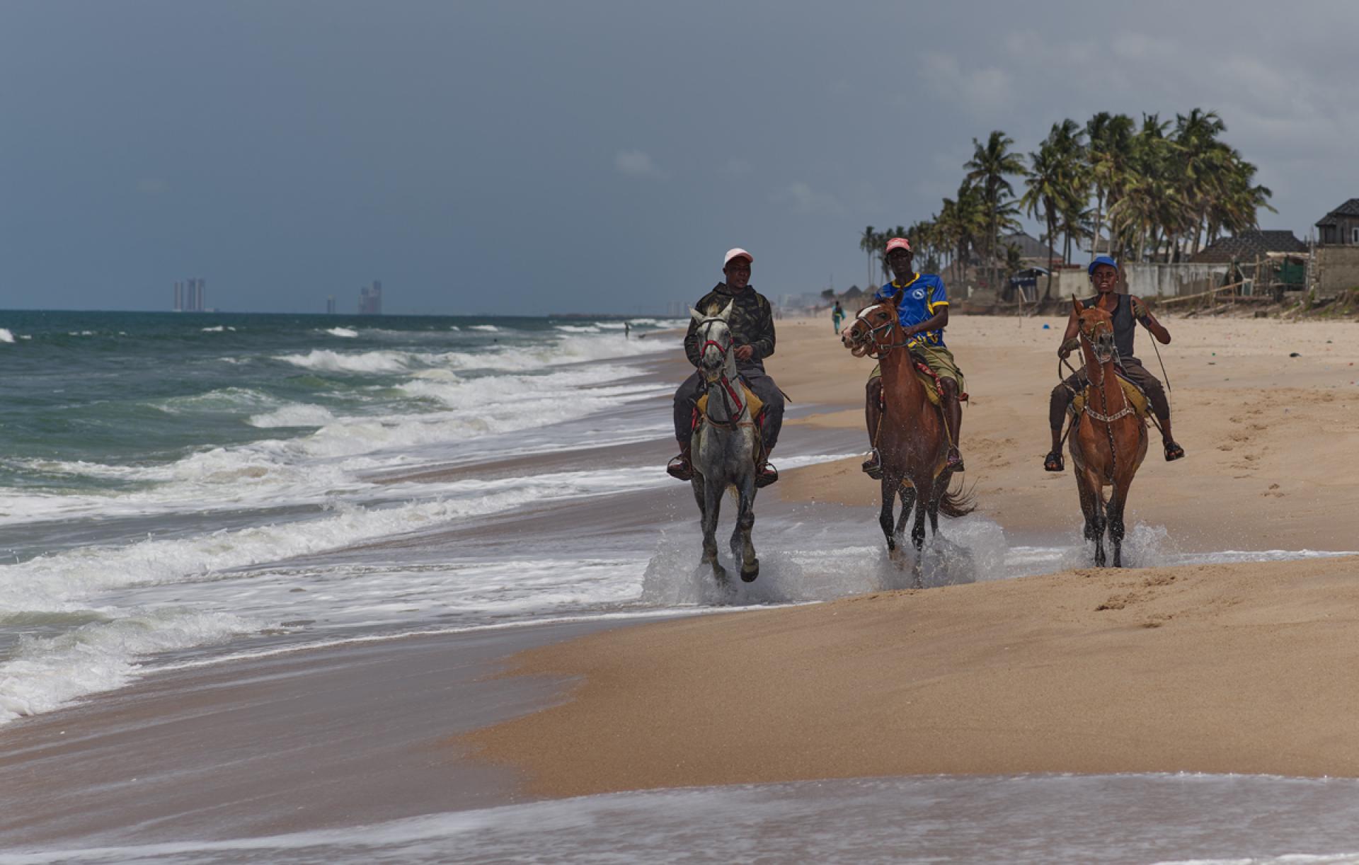 London Photography Awards Winner - The Horse Race