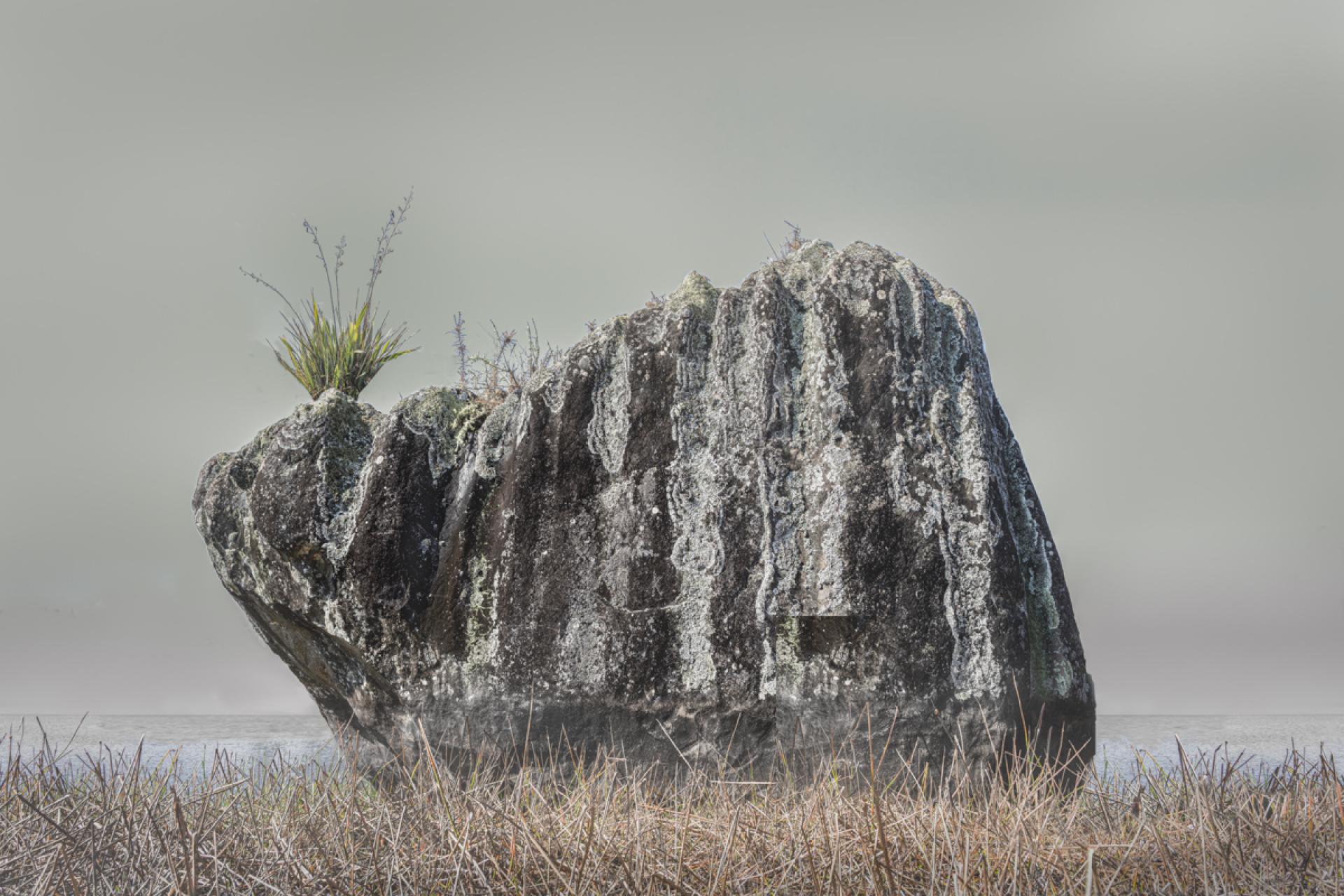 London Photography Awards Winner - Lake Manuwai Animal