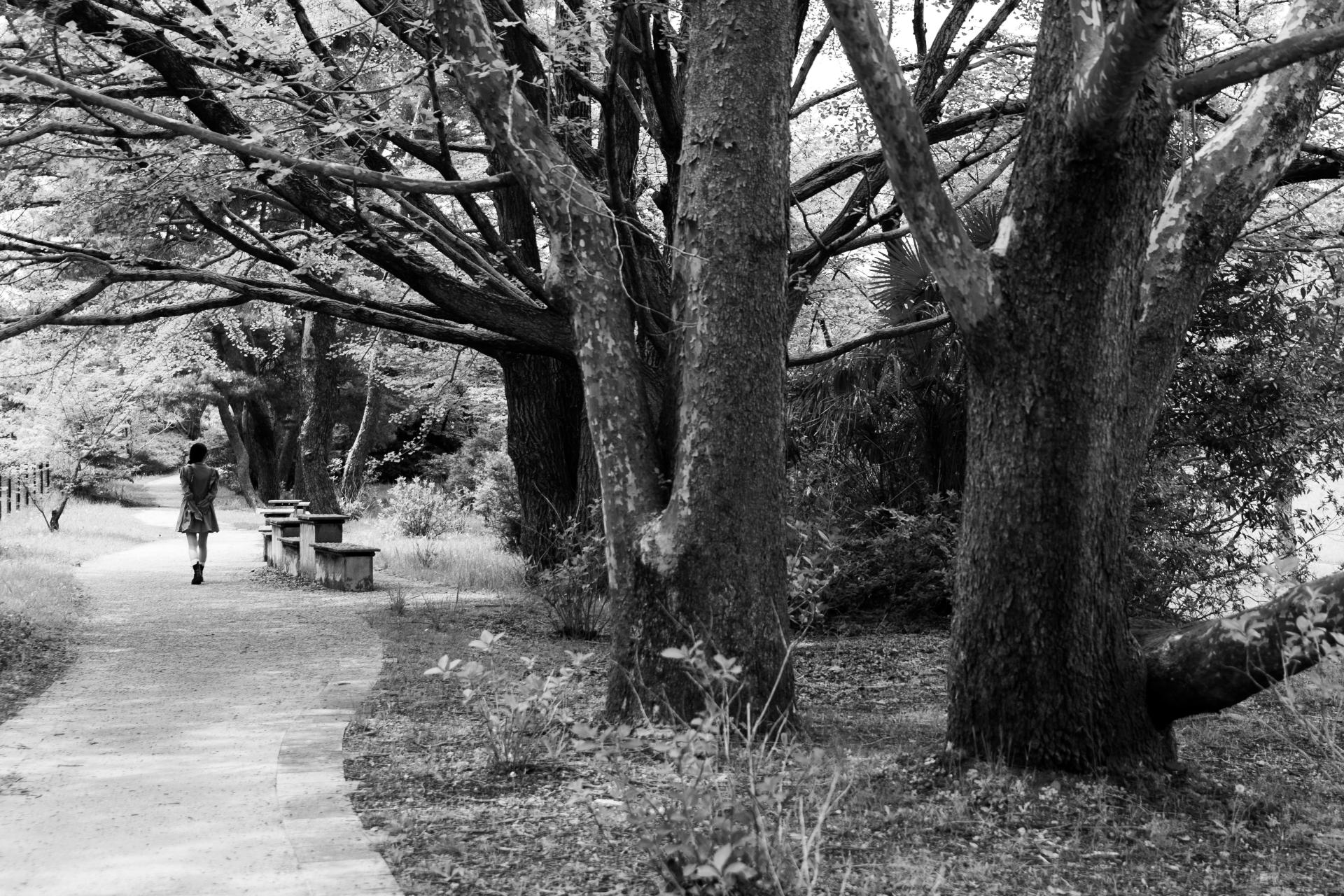 London Photography Awards Winner - promenade