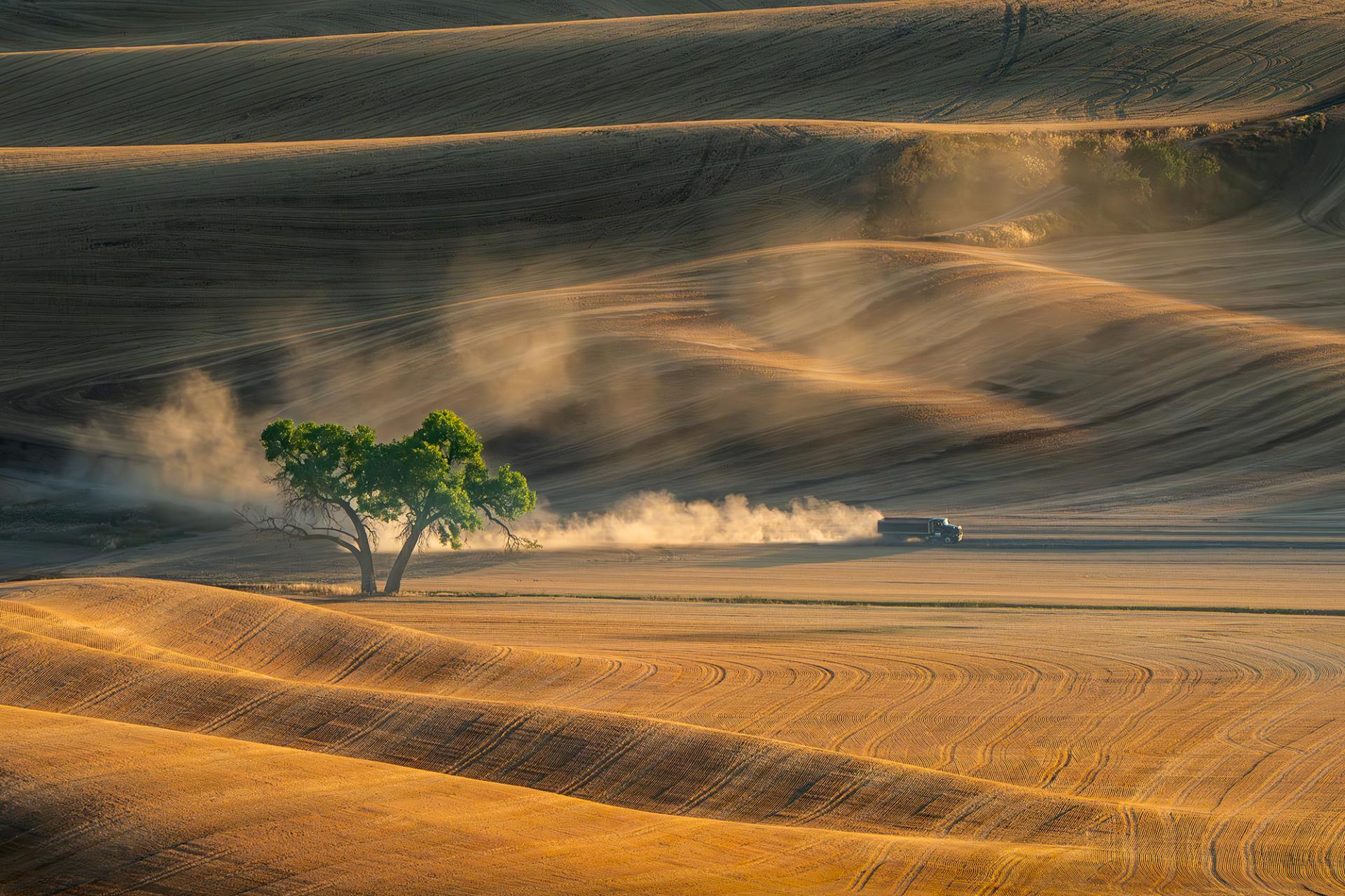 London Photography Awards Winner - Palouse Wheat Field Scene