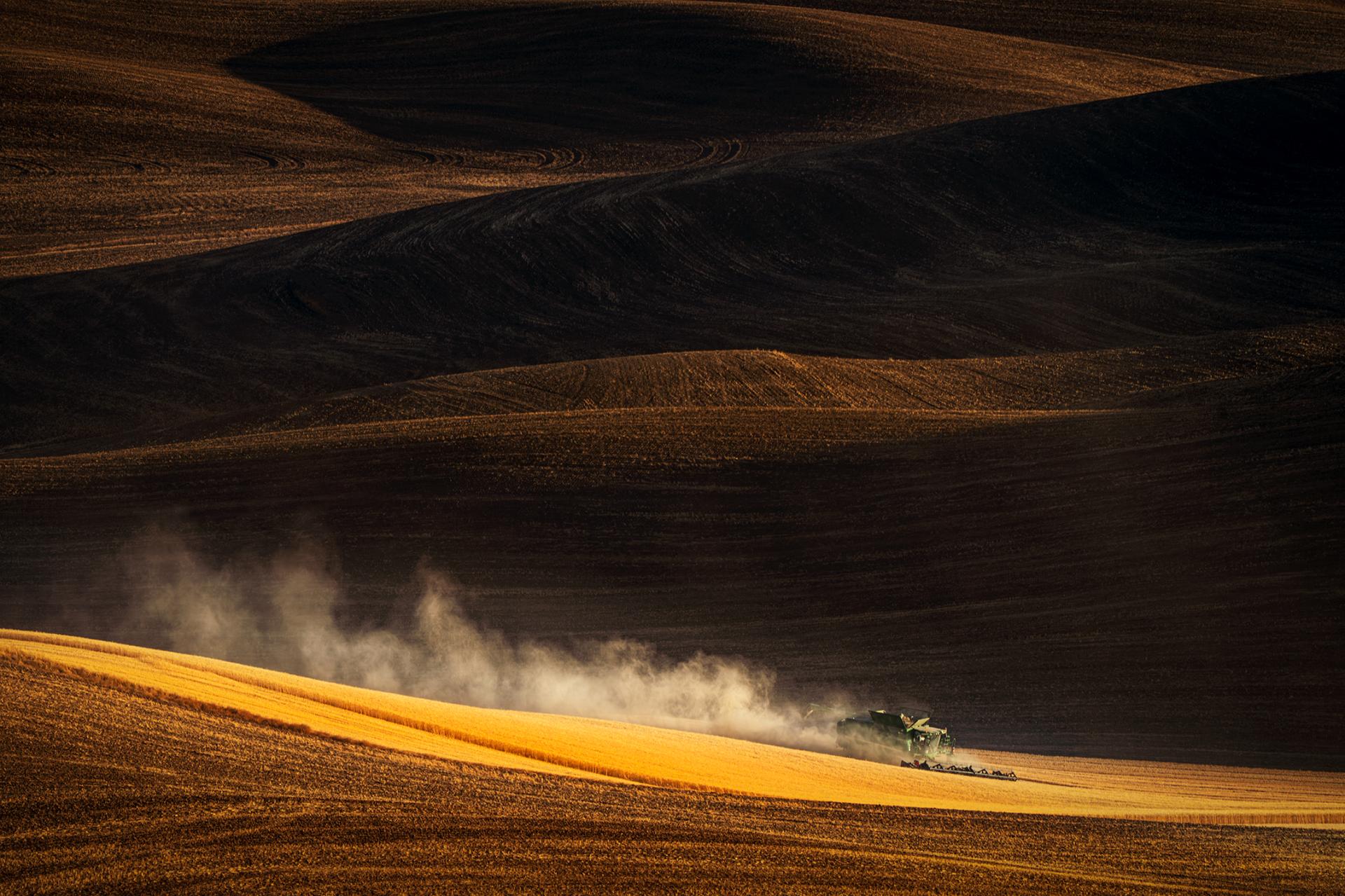 London Photography Awards Winner - Palouse Wheat Field Scene