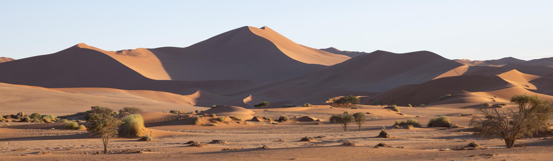 London Photography Awards Winner - dunes in the desert