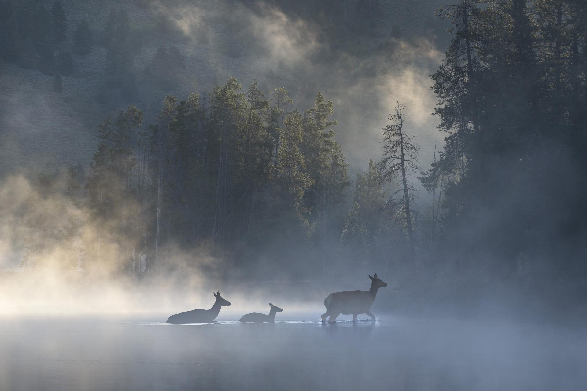 London Photography Awards Winner - Romance of the American West