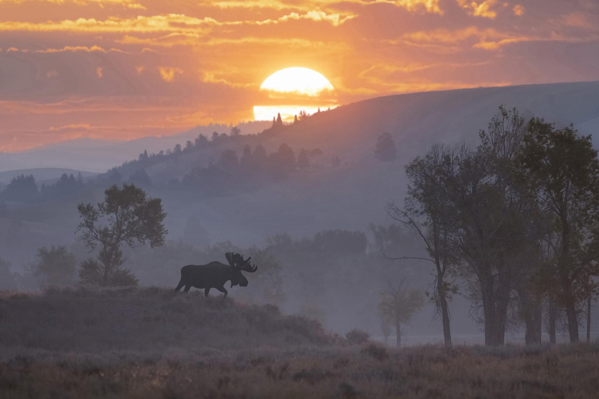 London Photography Awards Winner - Romance of the American West