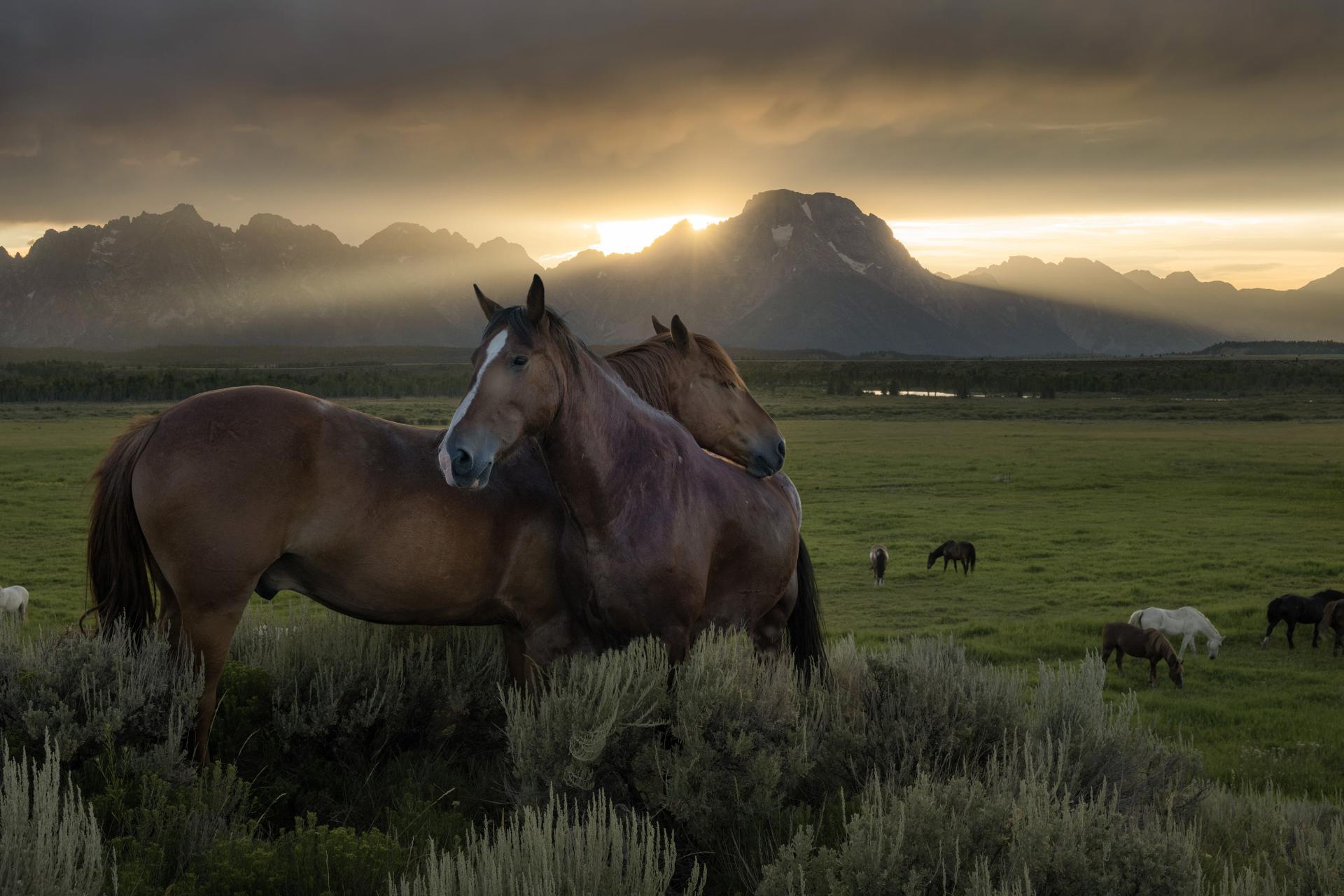 London Photography Awards Winner - Romance of the American West