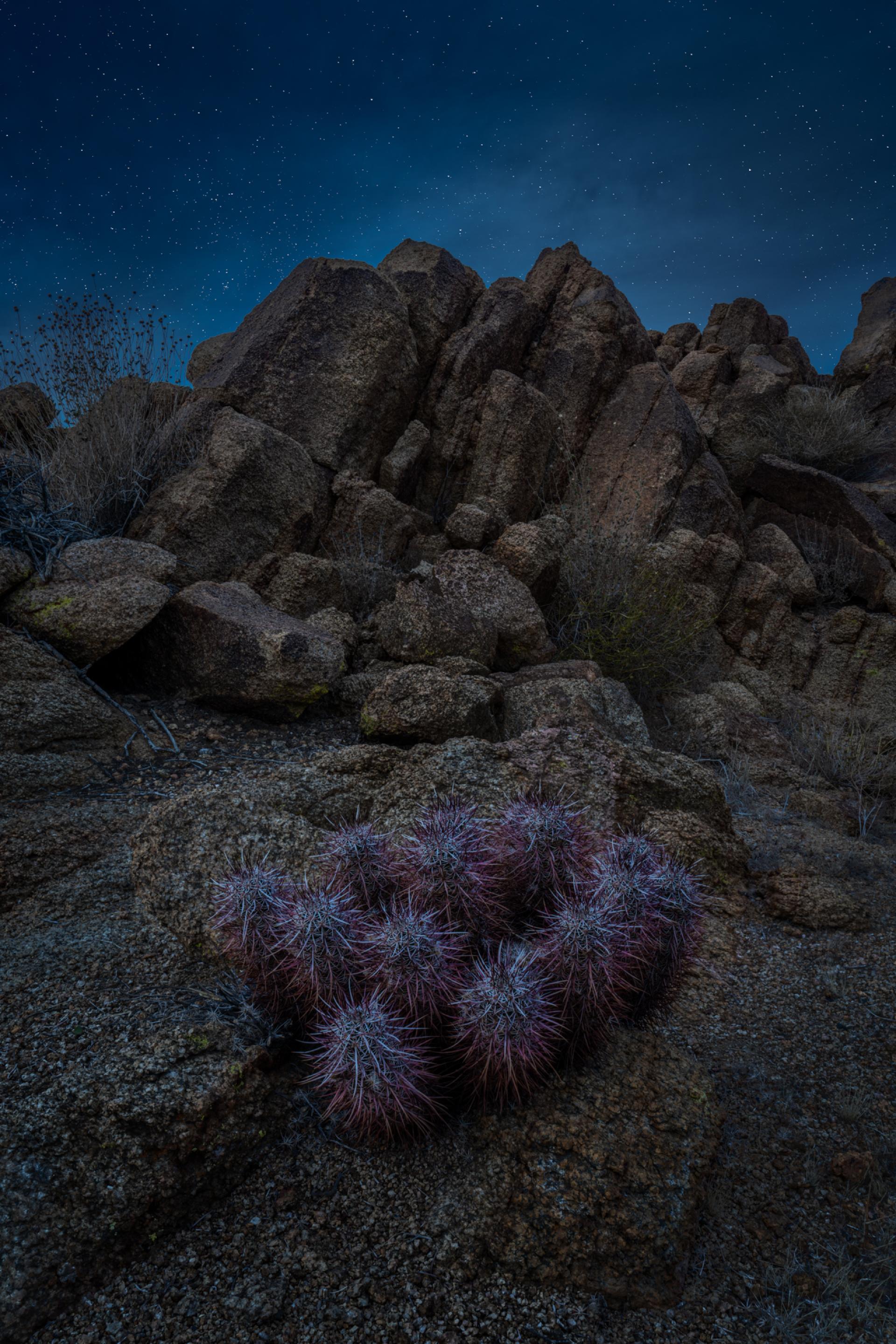 London Photography Awards Winner - Desert Nightfall