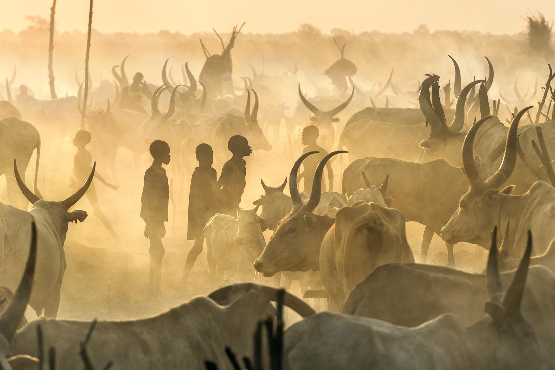 London Photography Awards Winner - Mundari Culture