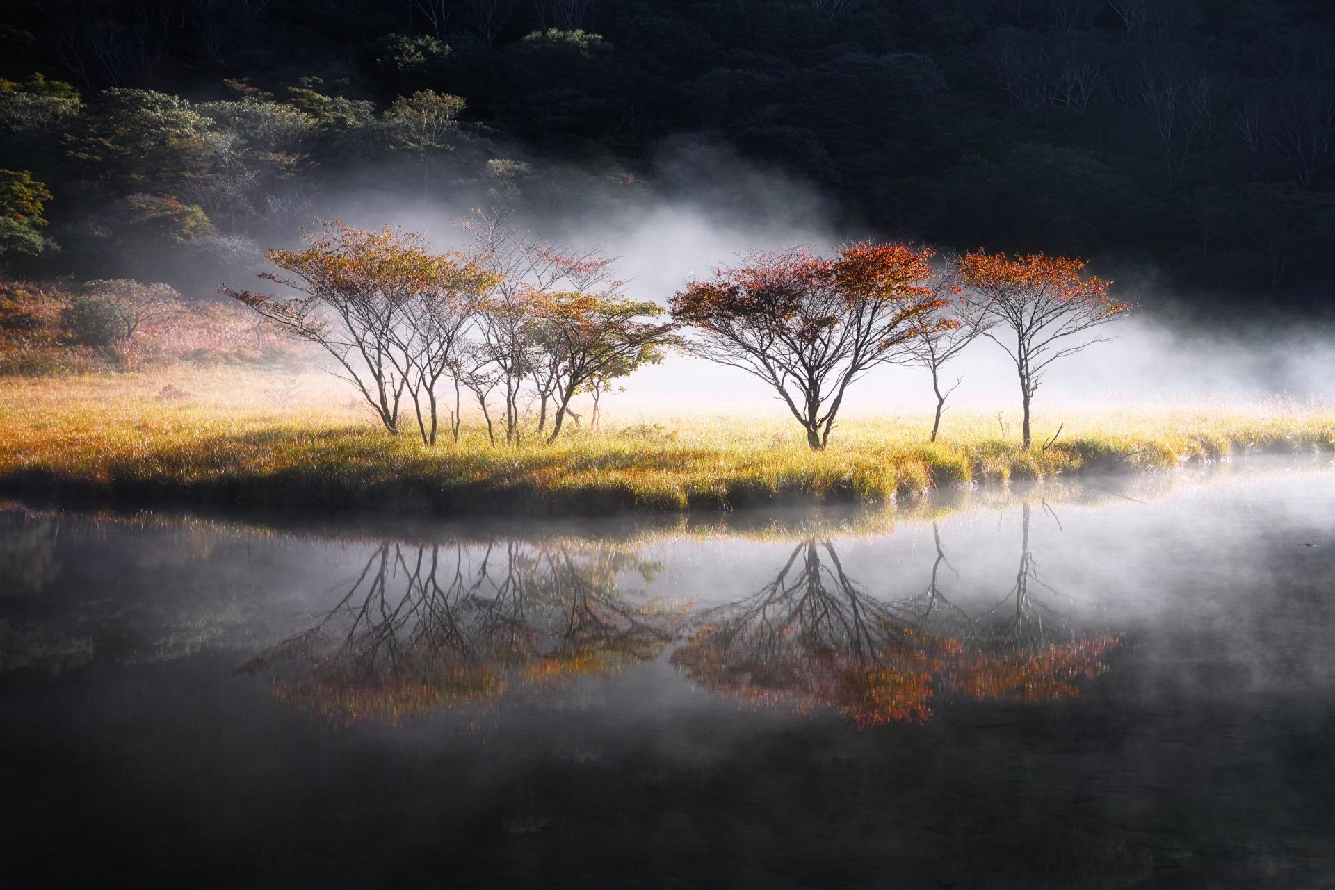 London Photography Awards Winner - mist robe