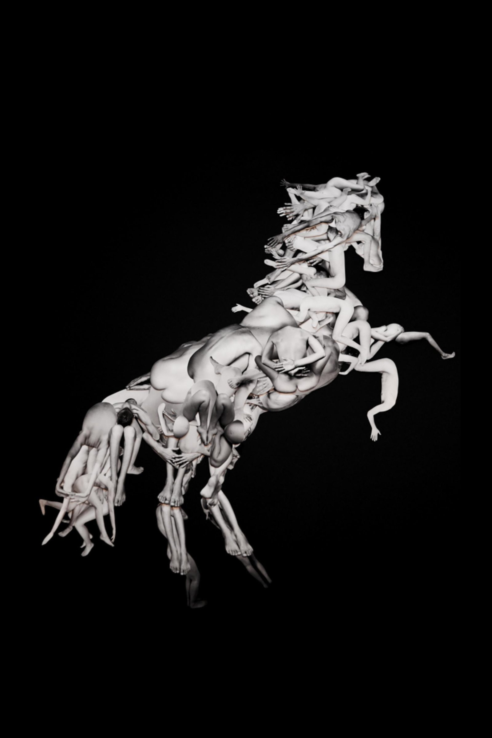 London Photography Awards Winner - Homeostasis