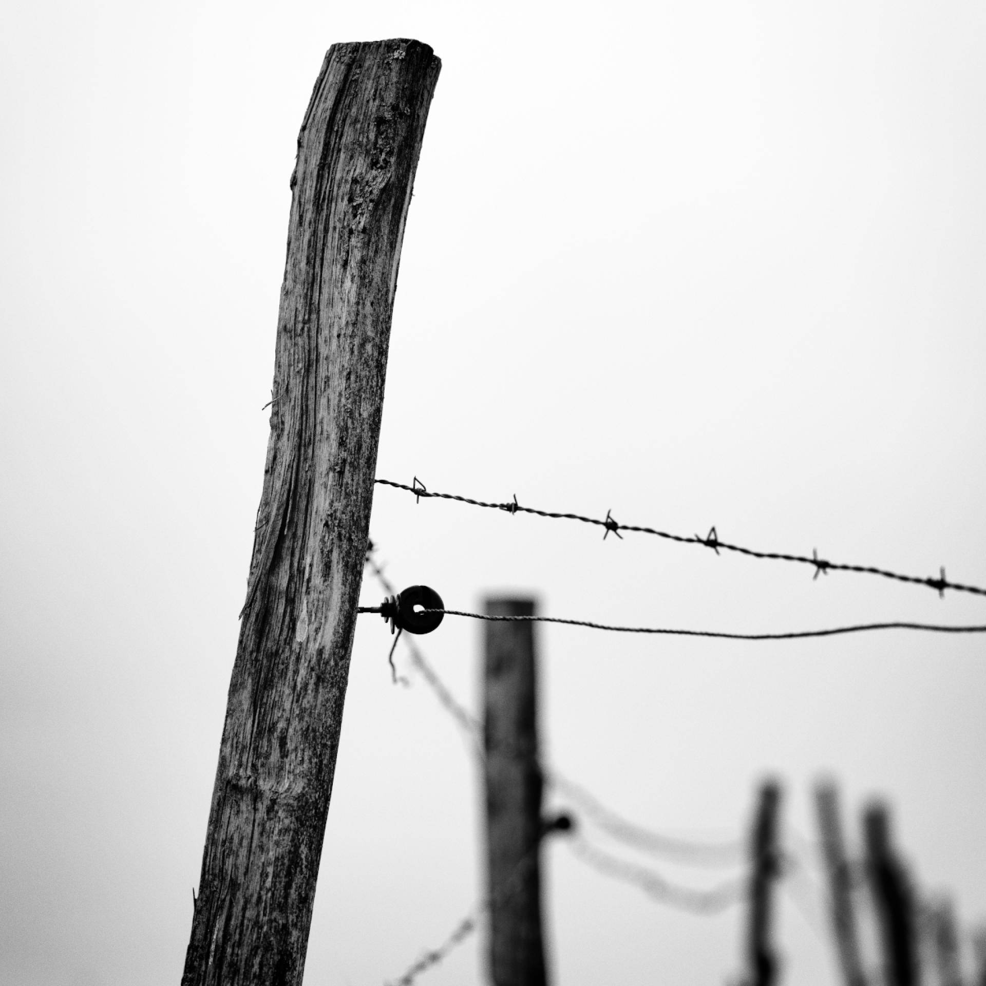 London Photography Awards Winner - The Fence