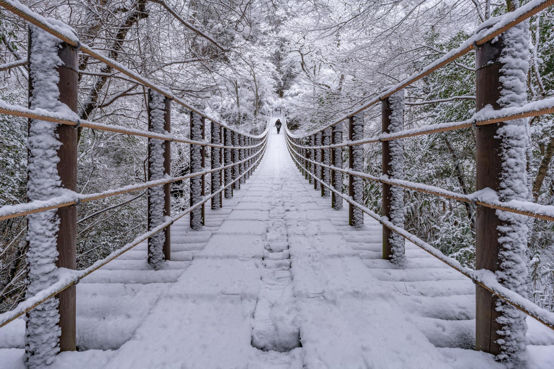 London Photography Awards Winner - Monochromatic Silence