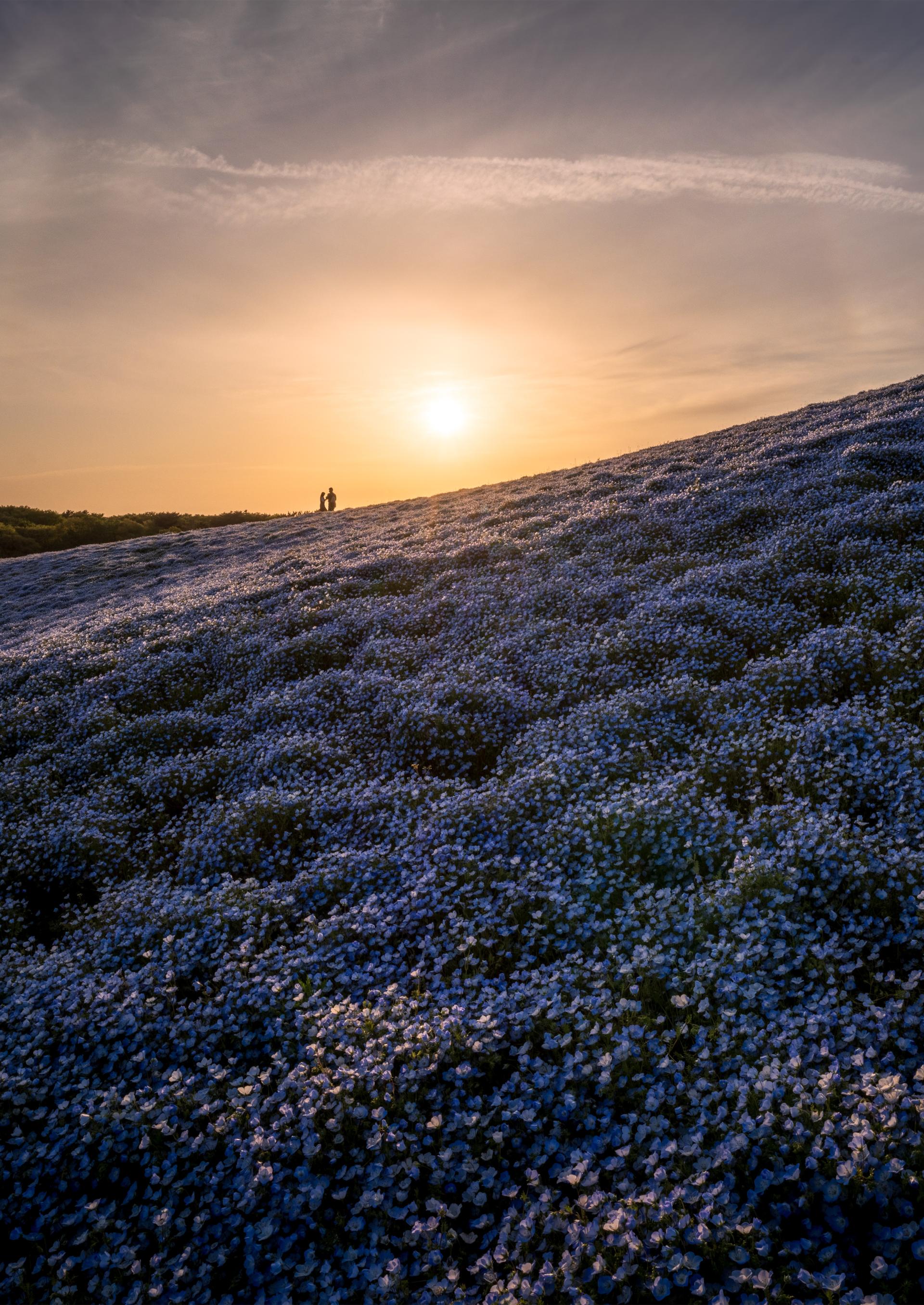 London Photography Awards Winner - A Love Story on the Everlasting Hills