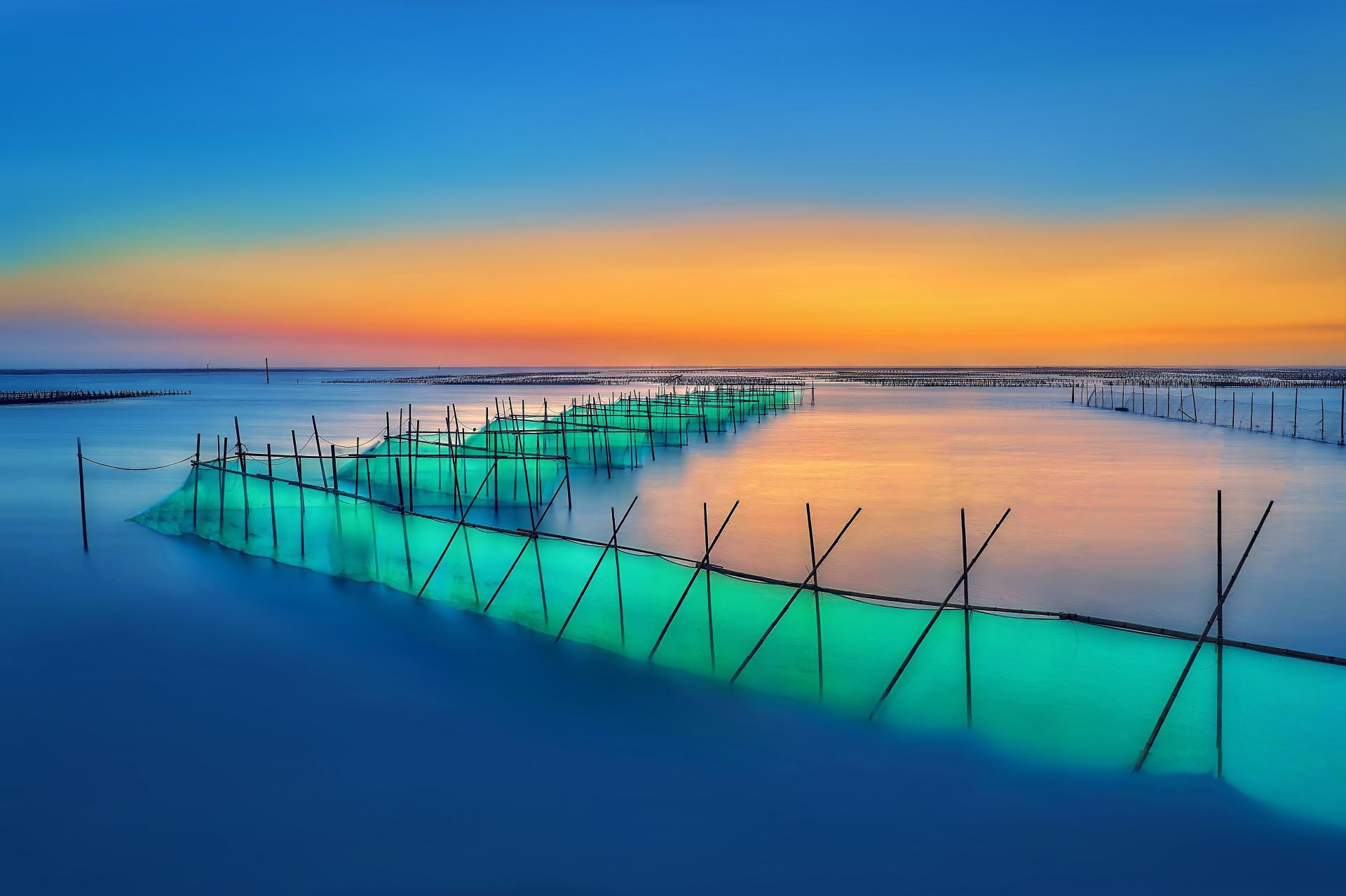 London Photography Awards Winner - Z-shaped fishing net