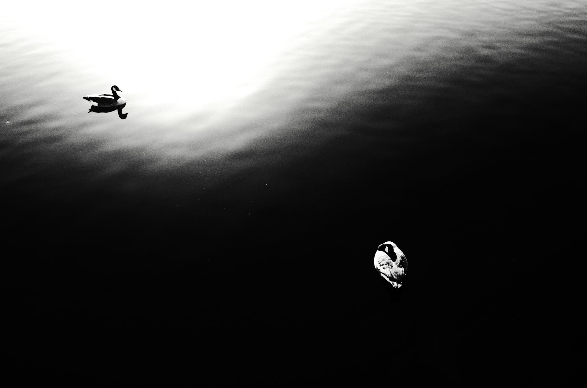 London Photography Awards Winner - Ying Yang