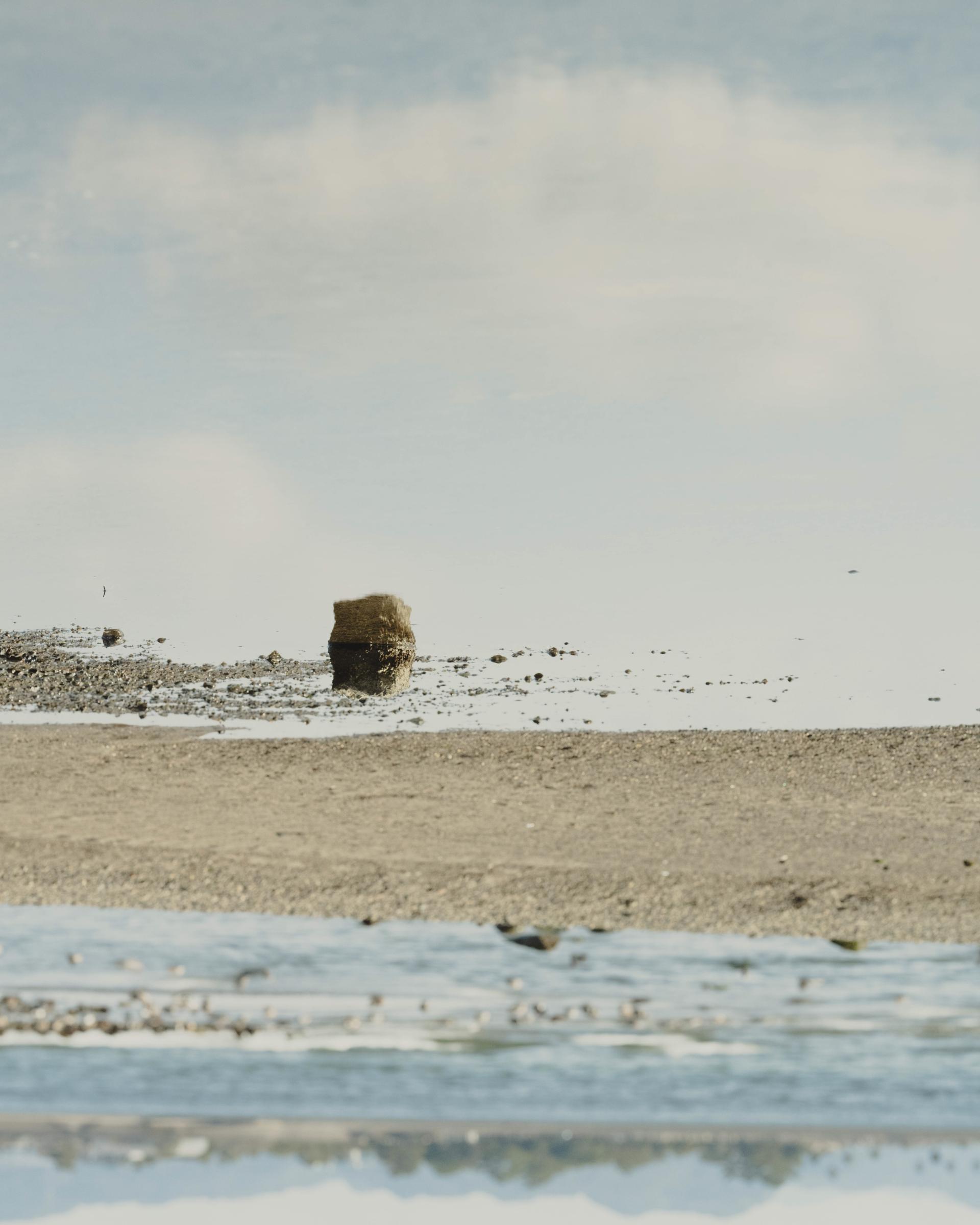 London Photography Awards Winner - It is what it is