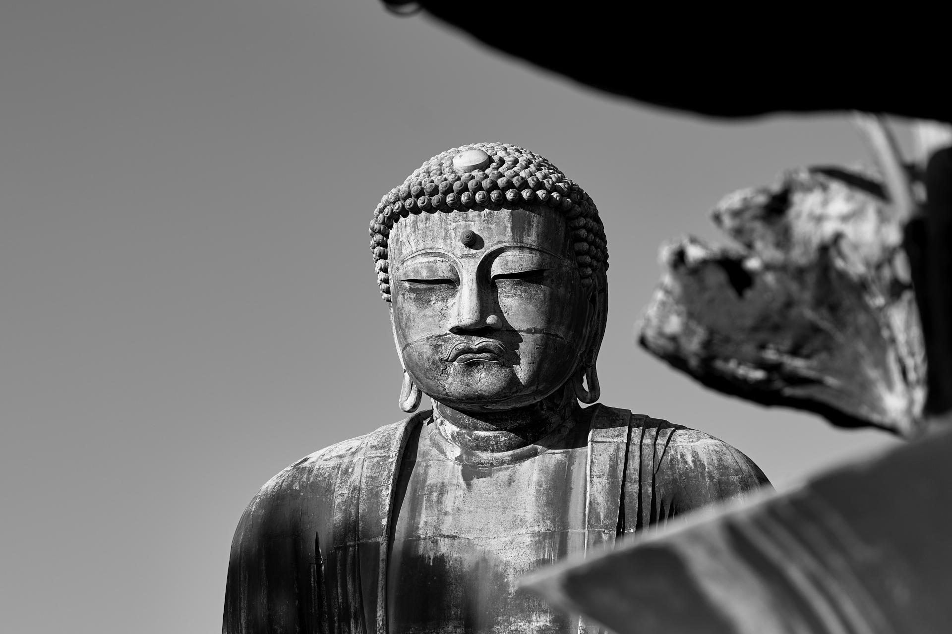 London Photography Awards Winner - Meditation