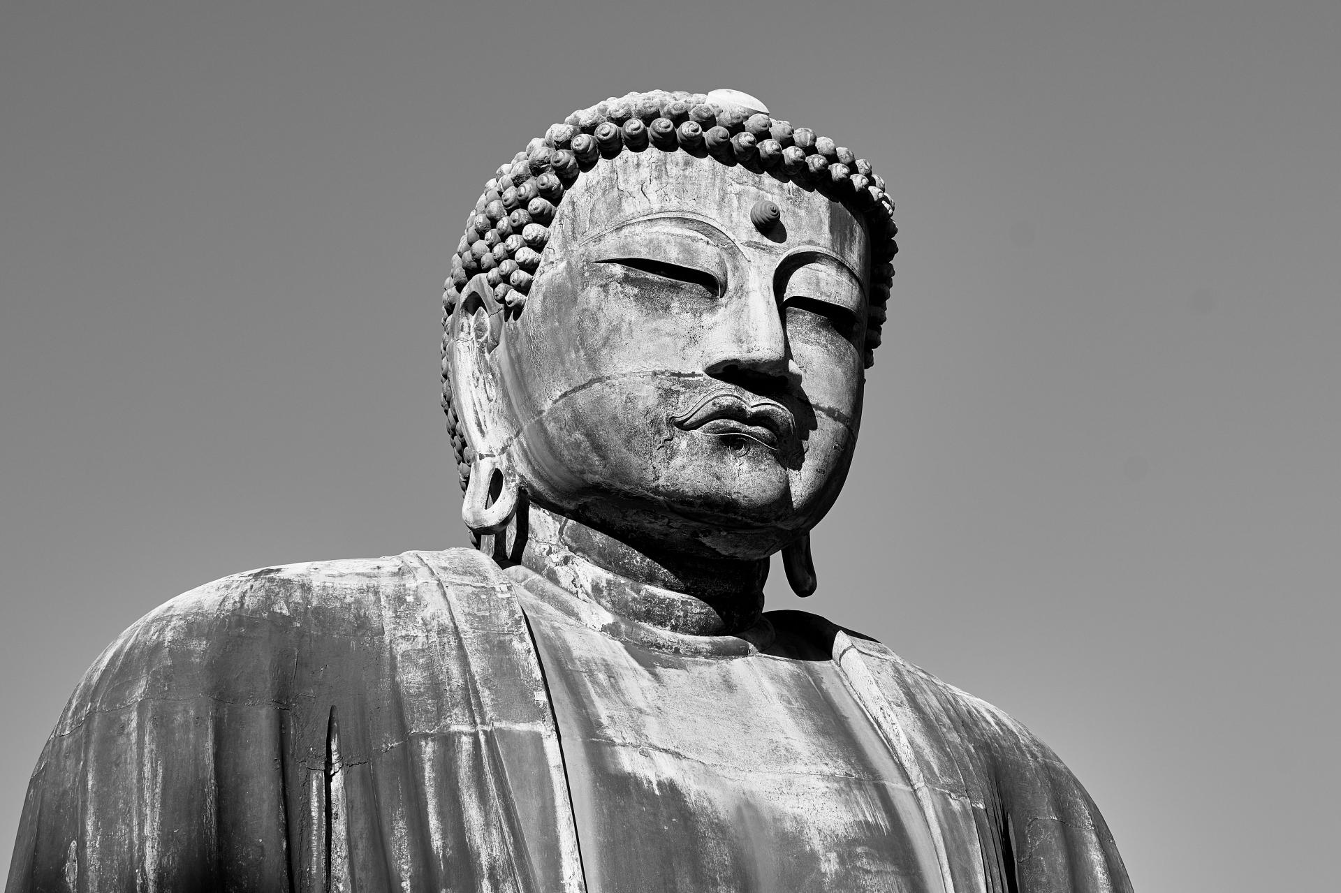 London Photography Awards Winner - Meditation