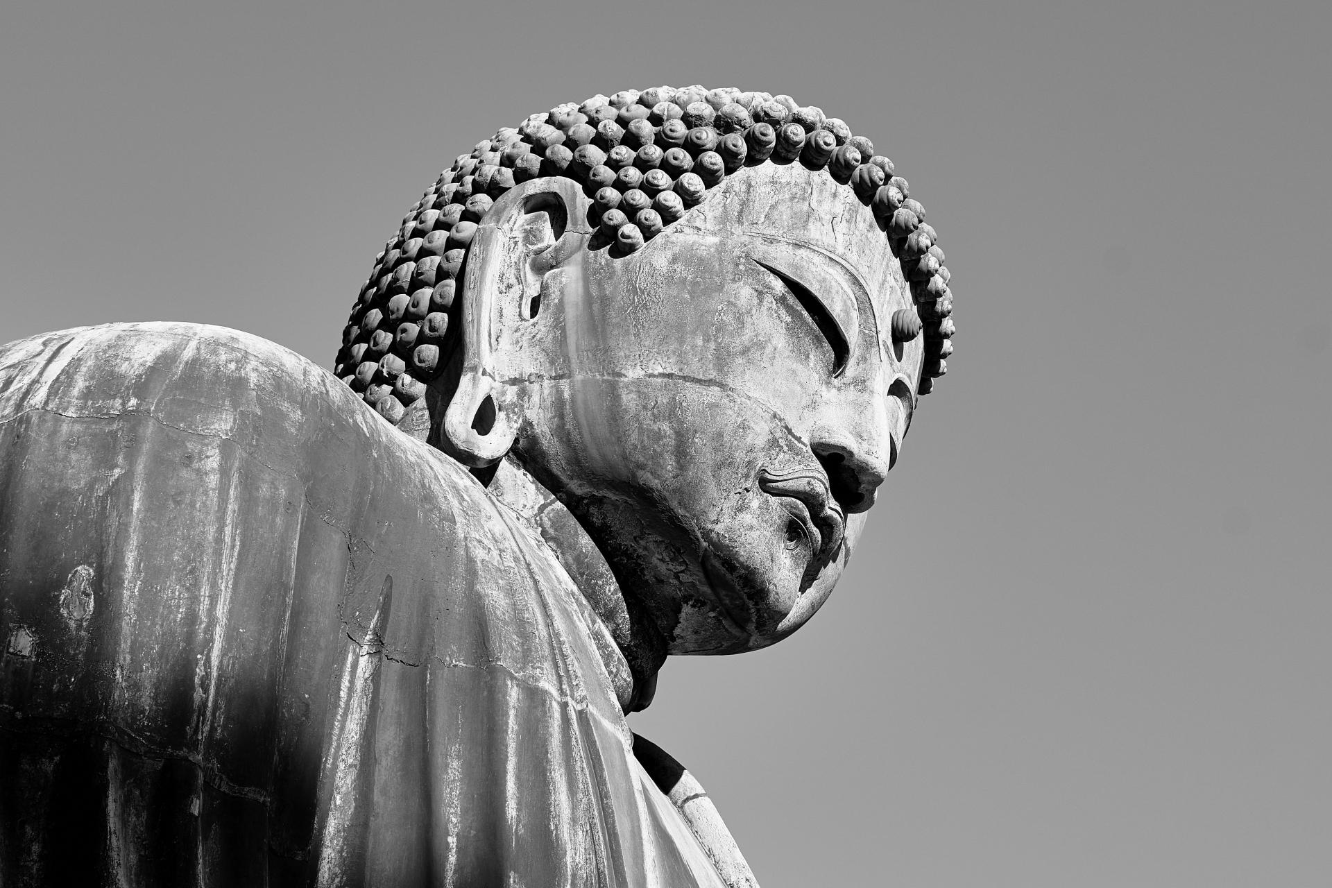 London Photography Awards Winner - Meditation