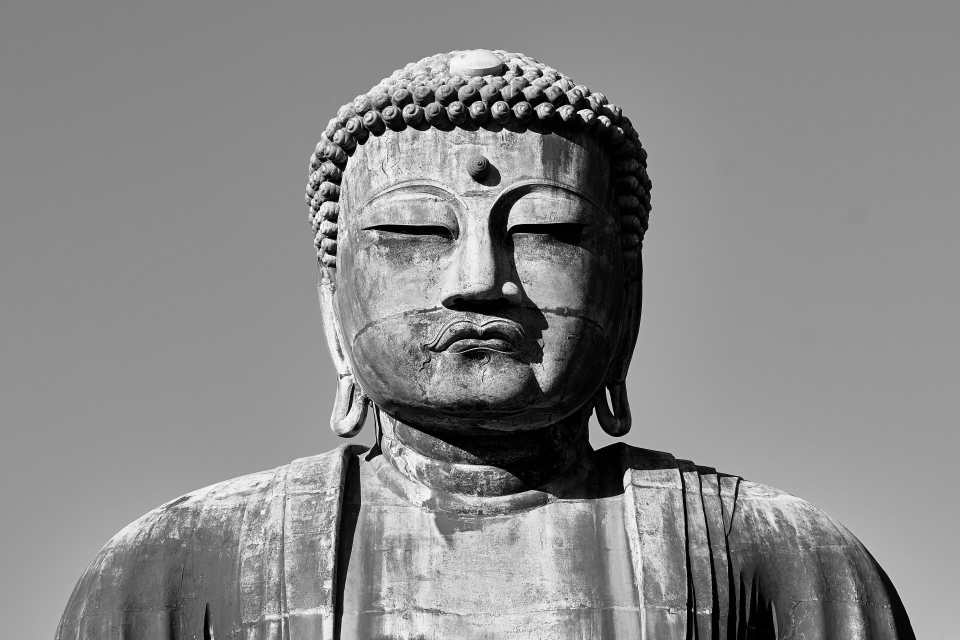 London Photography Awards Winner - Meditation