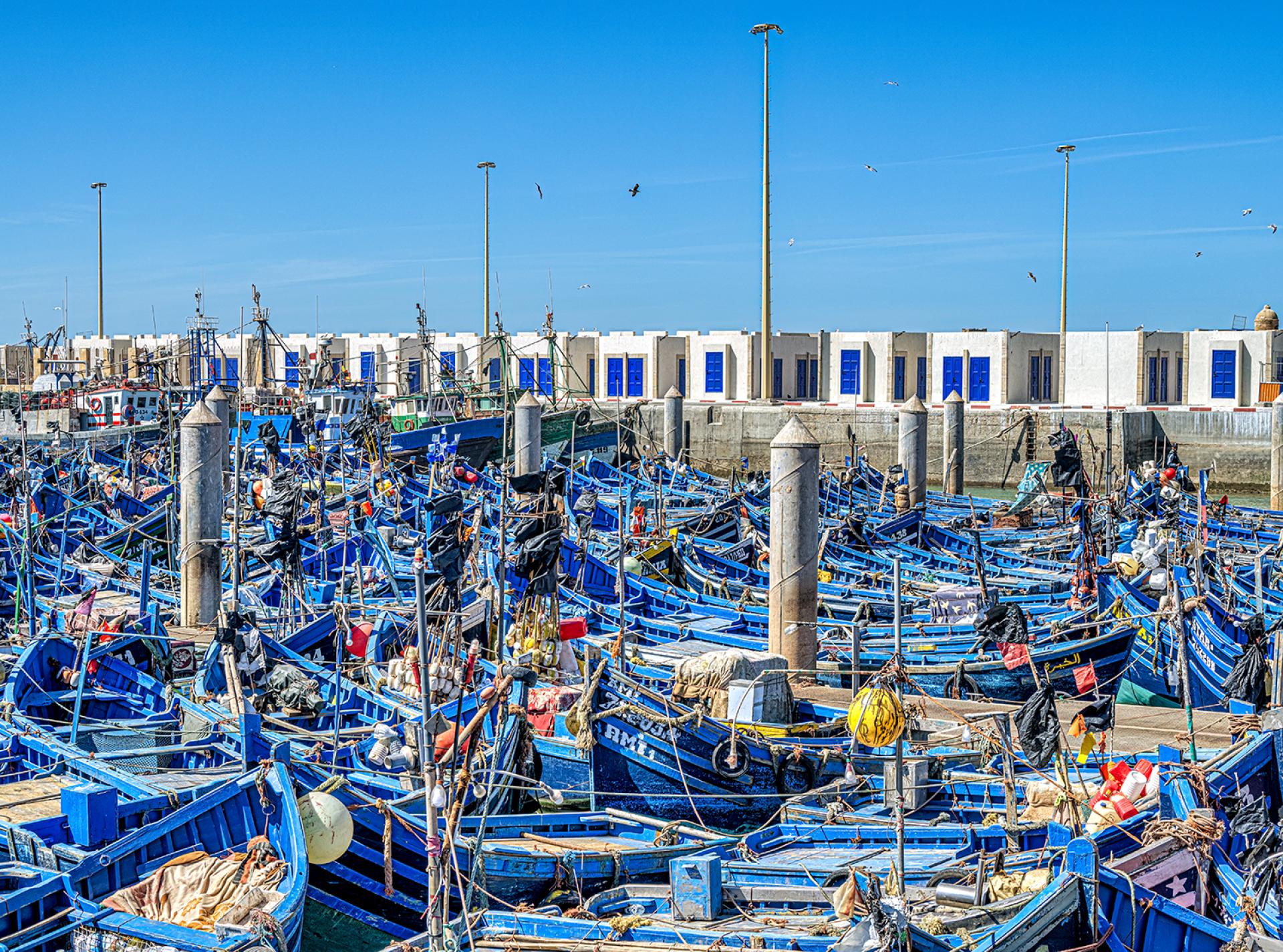 London Photography Awards Winner - Blue Boats, Blue Doors