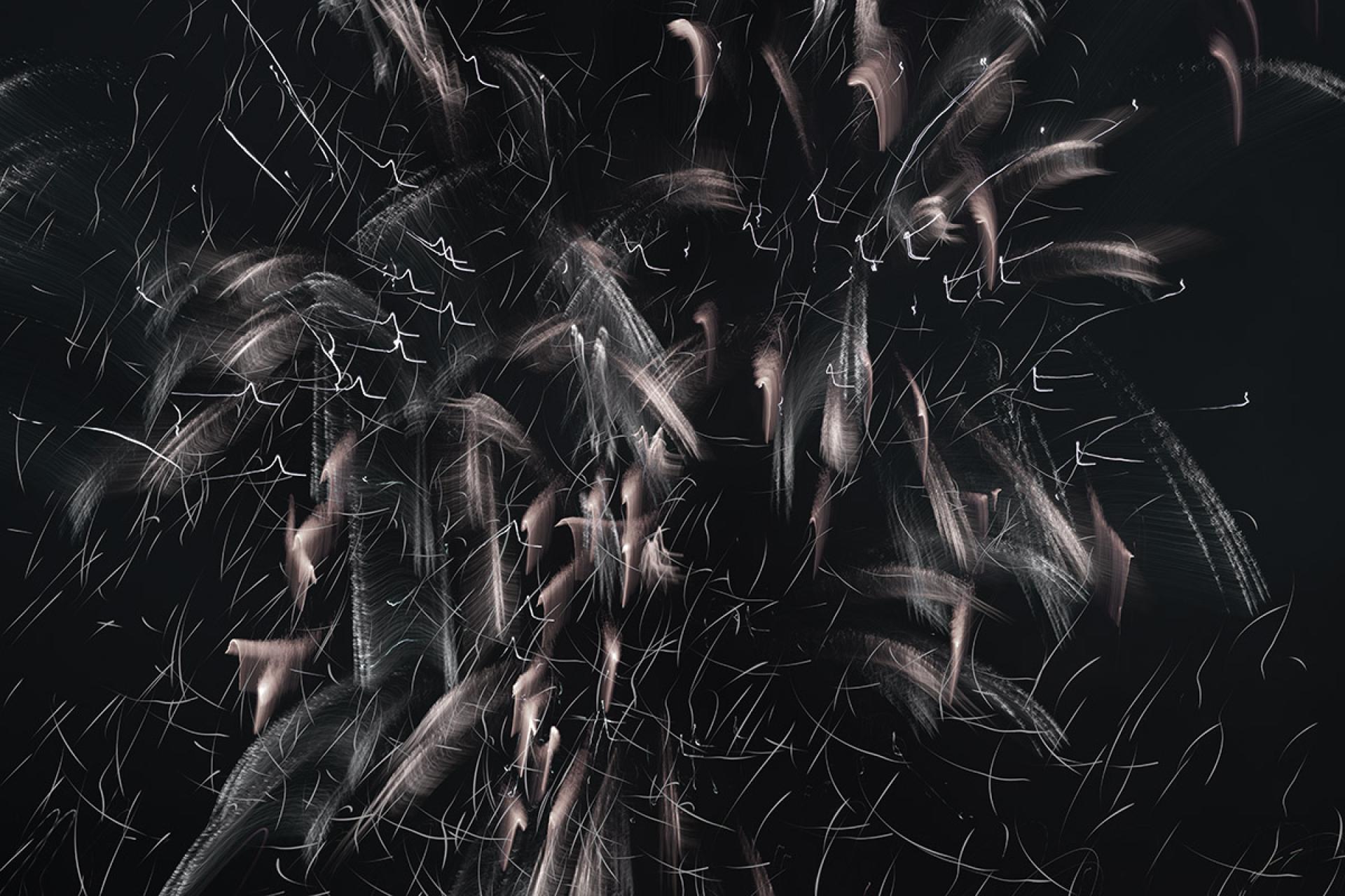 London Photography Awards Winner - The Inner World of Fireworks