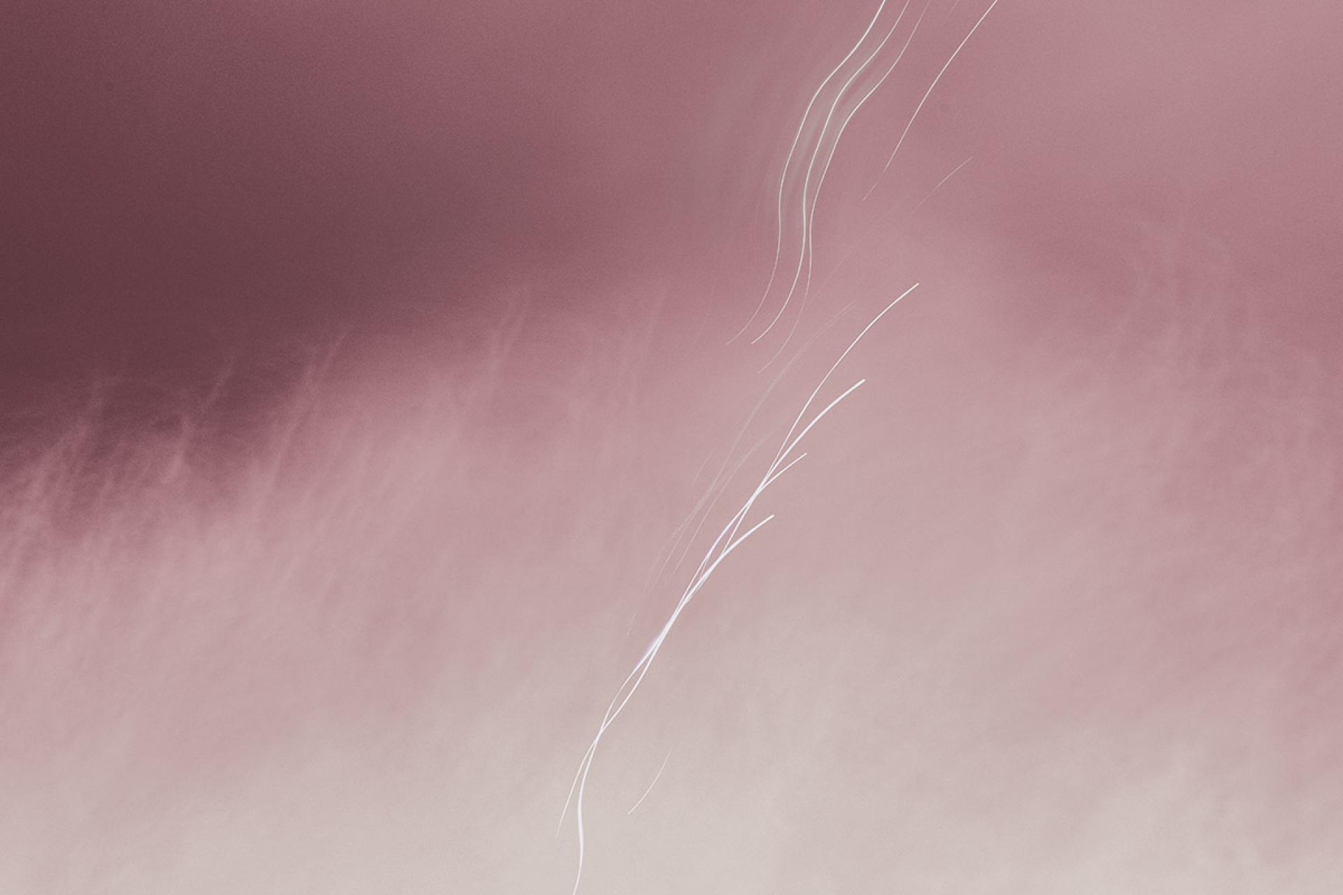 London Photography Awards Winner - The Inner World of Fireworks