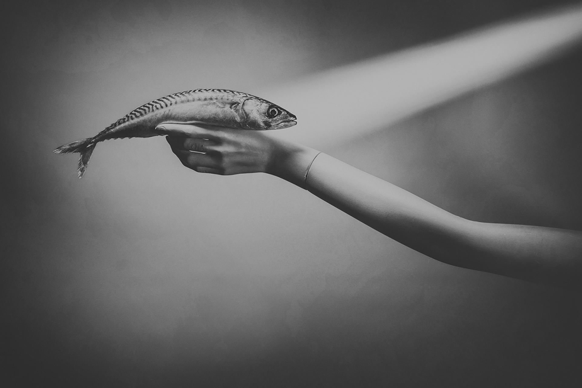 London Photography Awards Winner - Quiet as a Fish