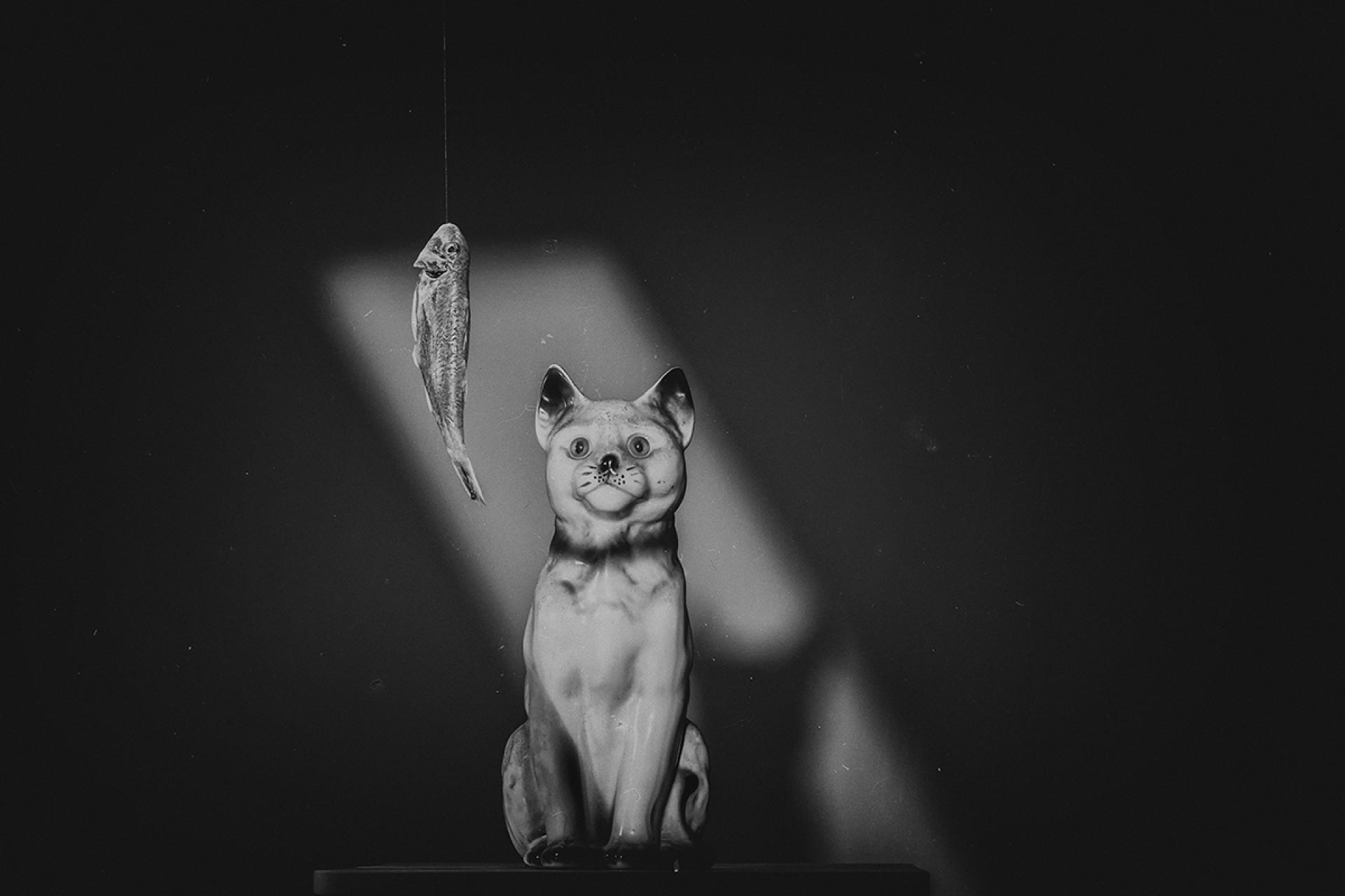 London Photography Awards Winner - Quiet as a Fish