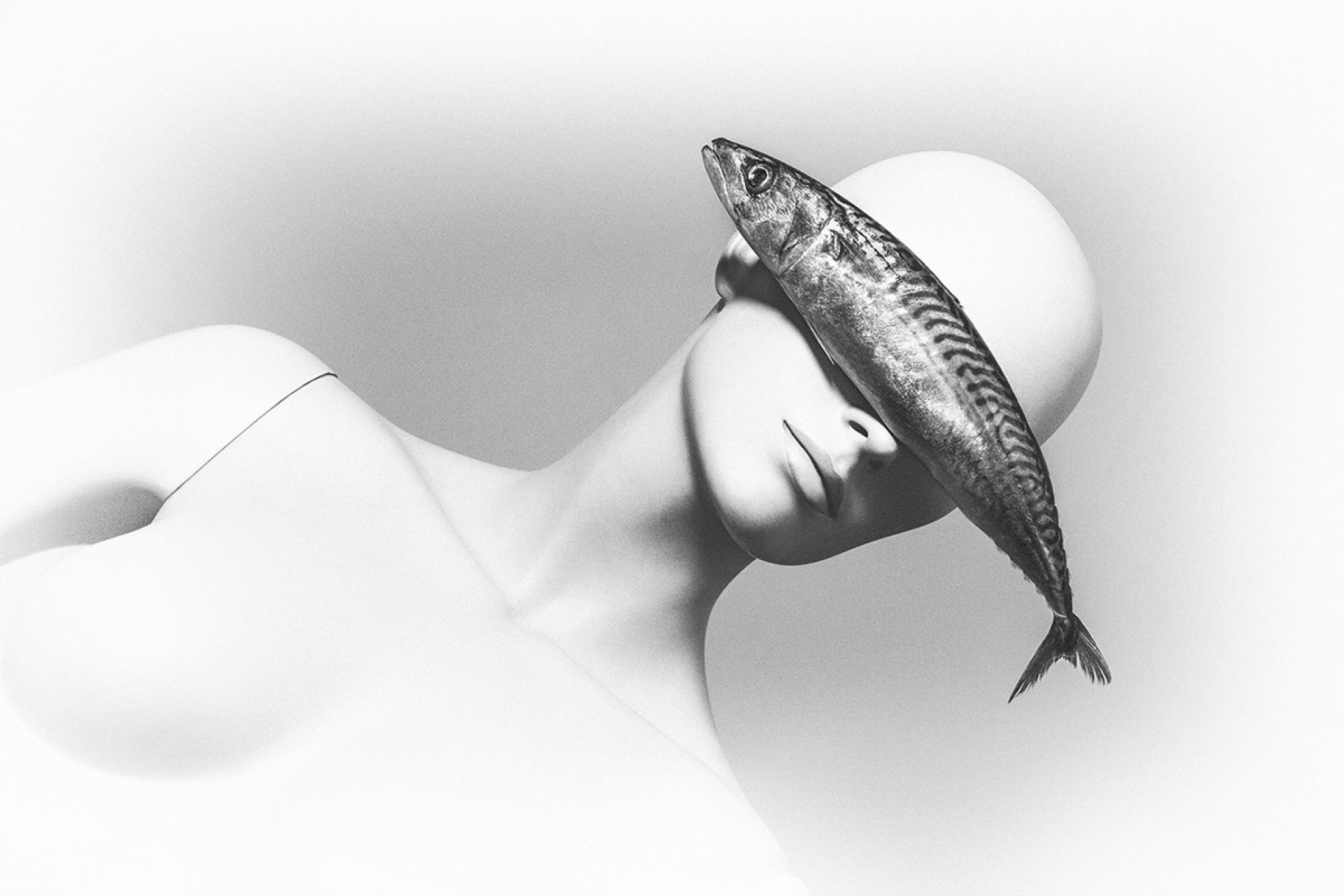 London Photography Awards Winner - Quiet as a Fish