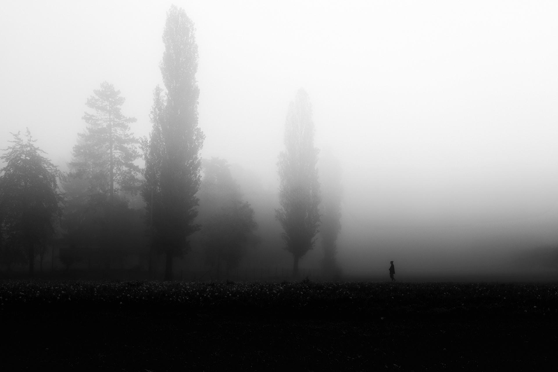 London Photography Awards Winner - Fog Walkers