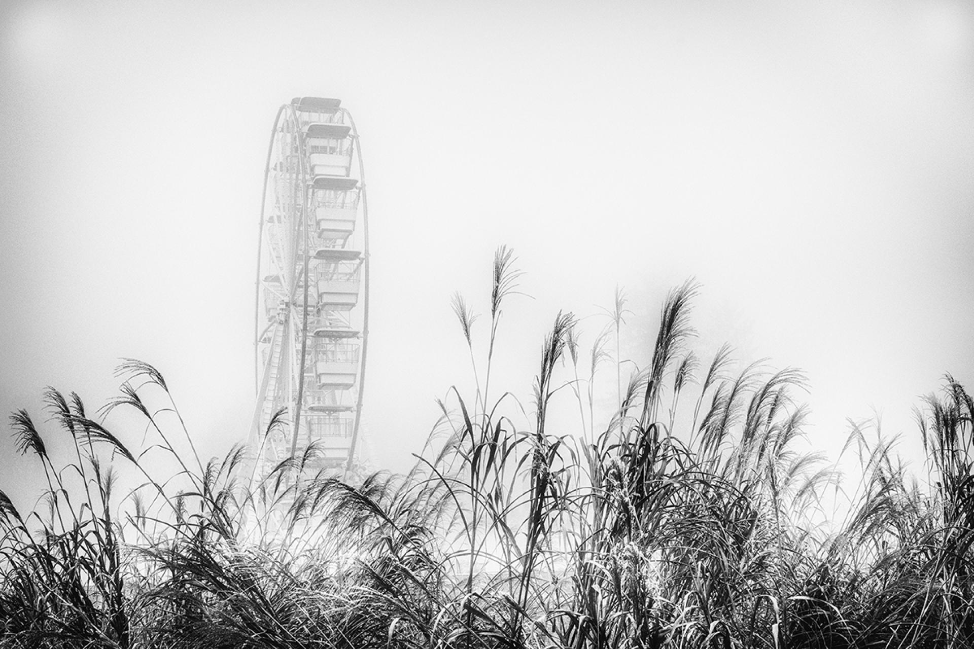 London Photography Awards Winner - Fog Walkers