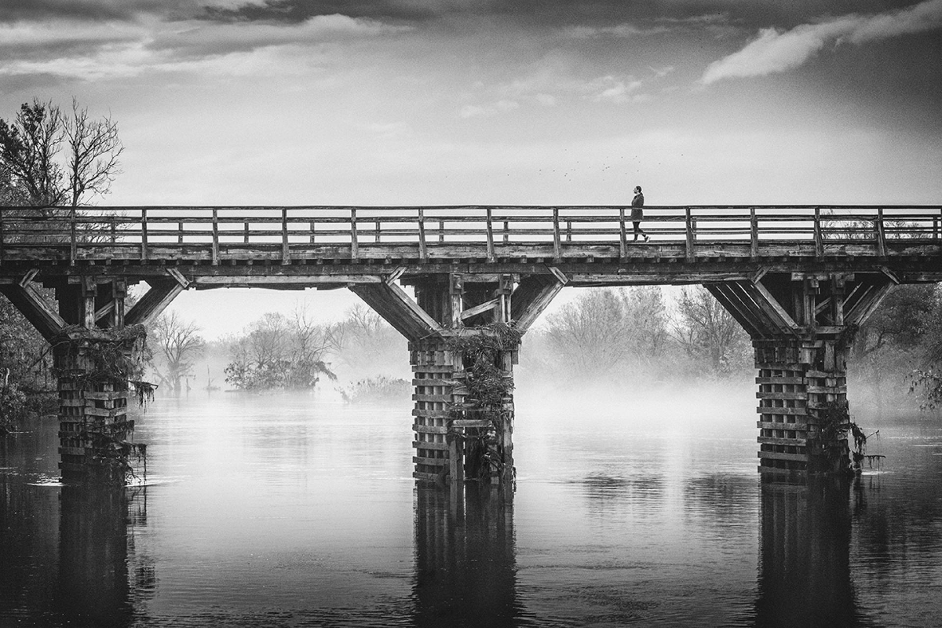 London Photography Awards Winner - Fog Walkers